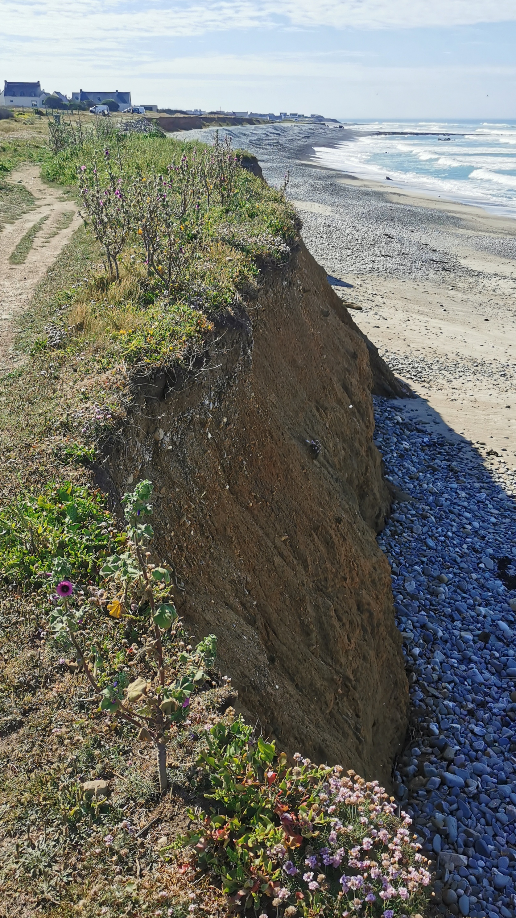 34-IMG_20210530_104716