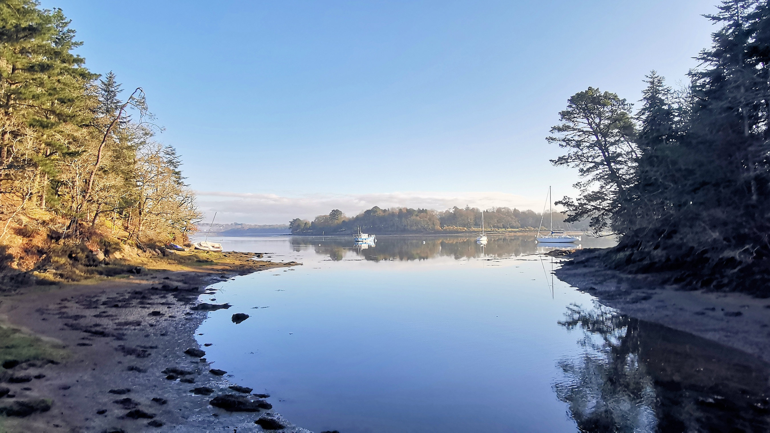 44-IMG_20210207_103232