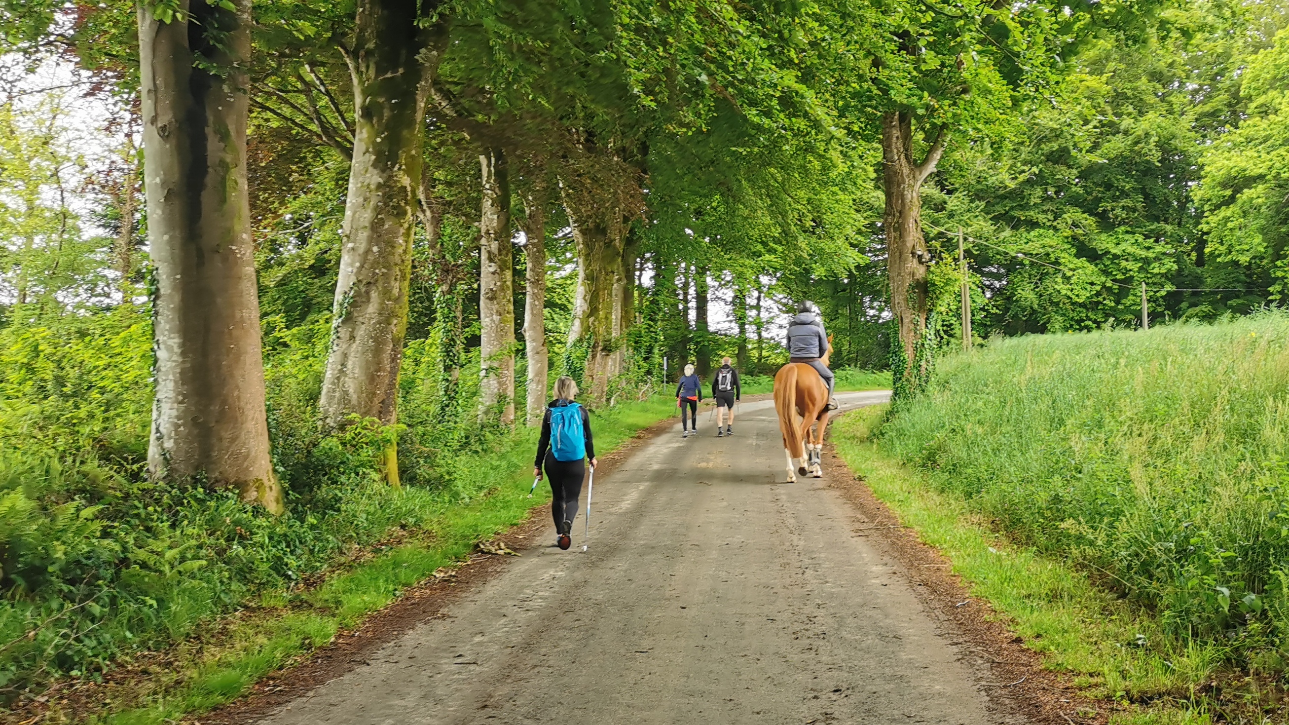 34-IMG_20210527_110128_1