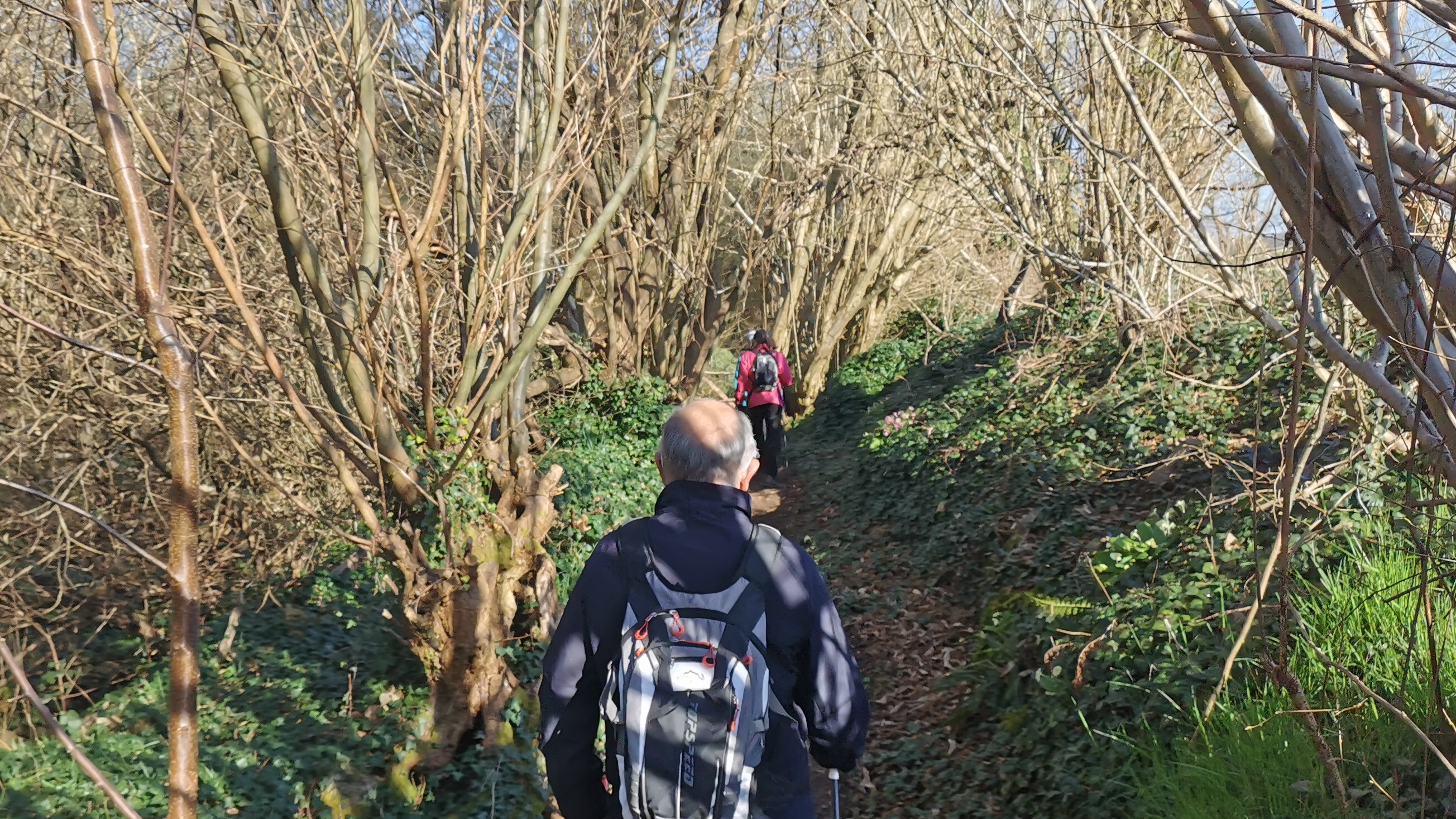 15-IMG_20210318_095929