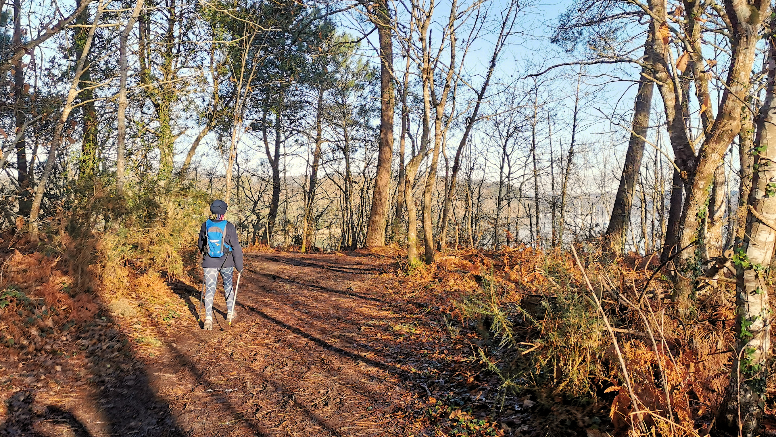 11-IMG_20210206_101938