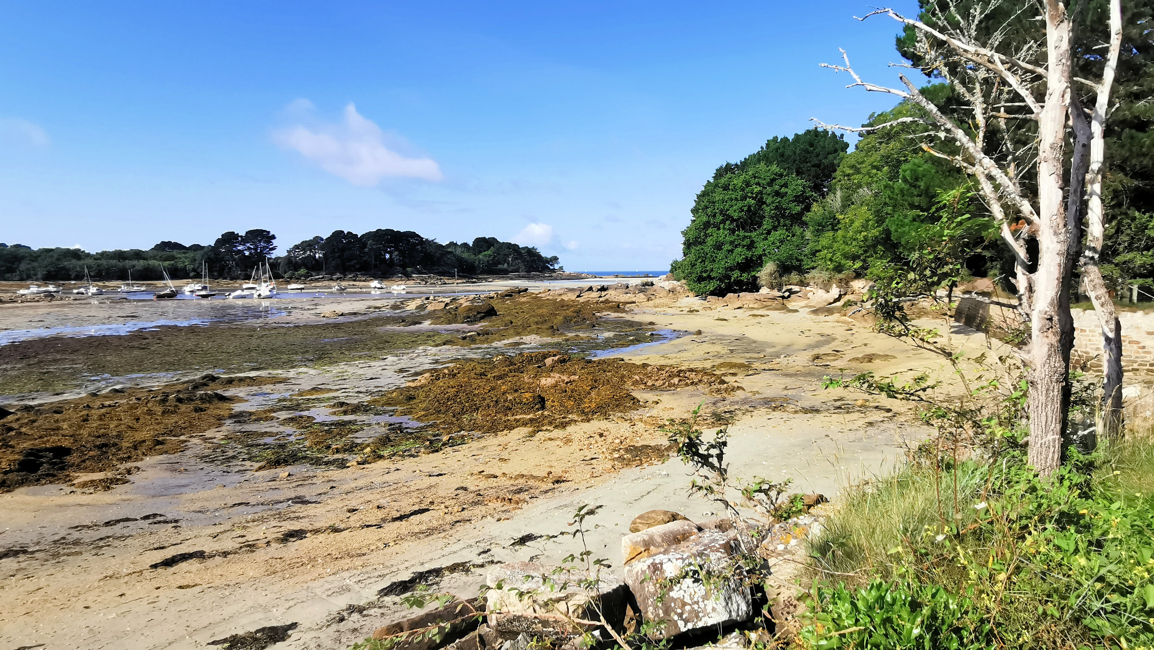 103-IMG_20210822_104647_1