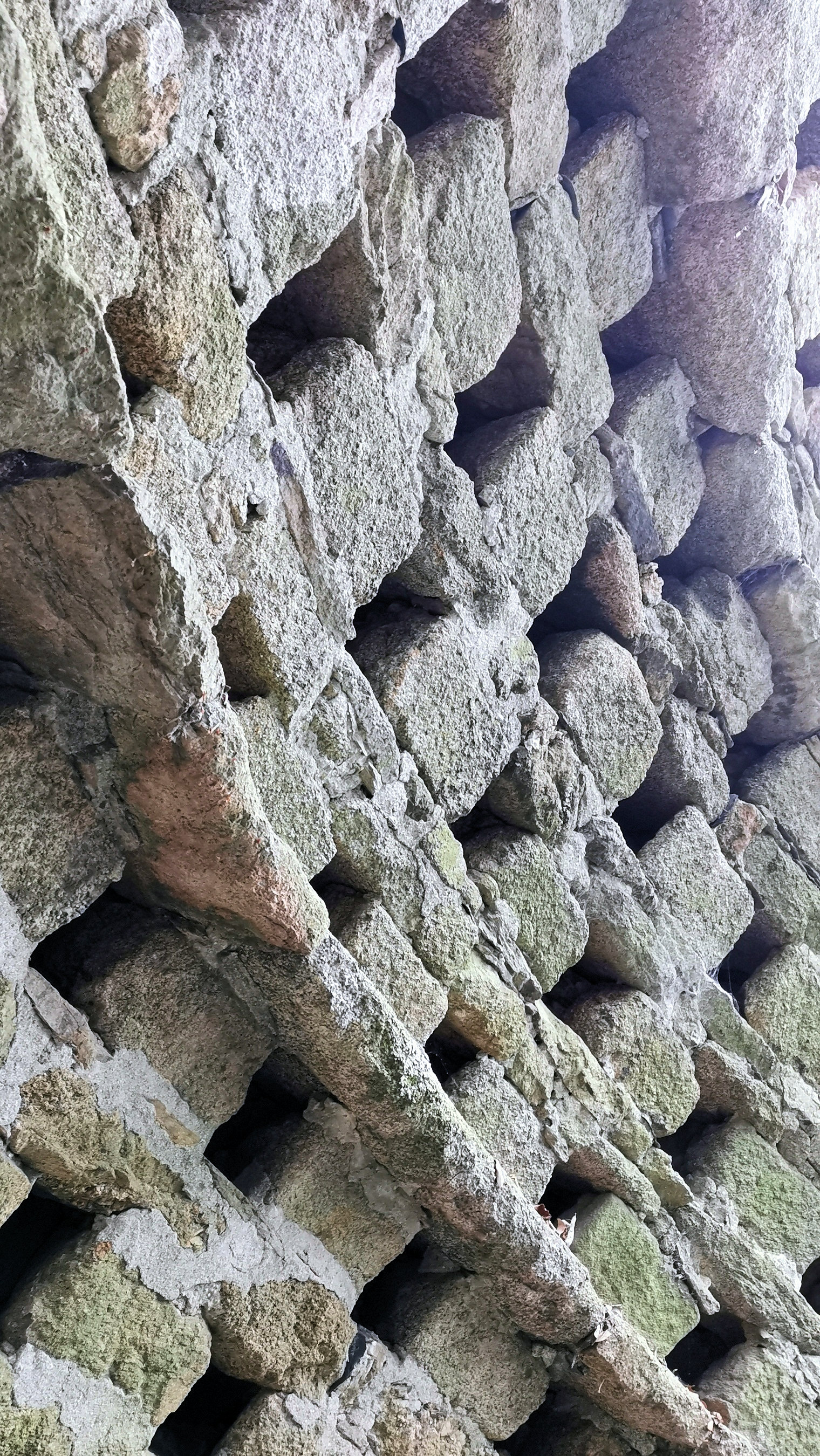 30-IMG_20210118_114821