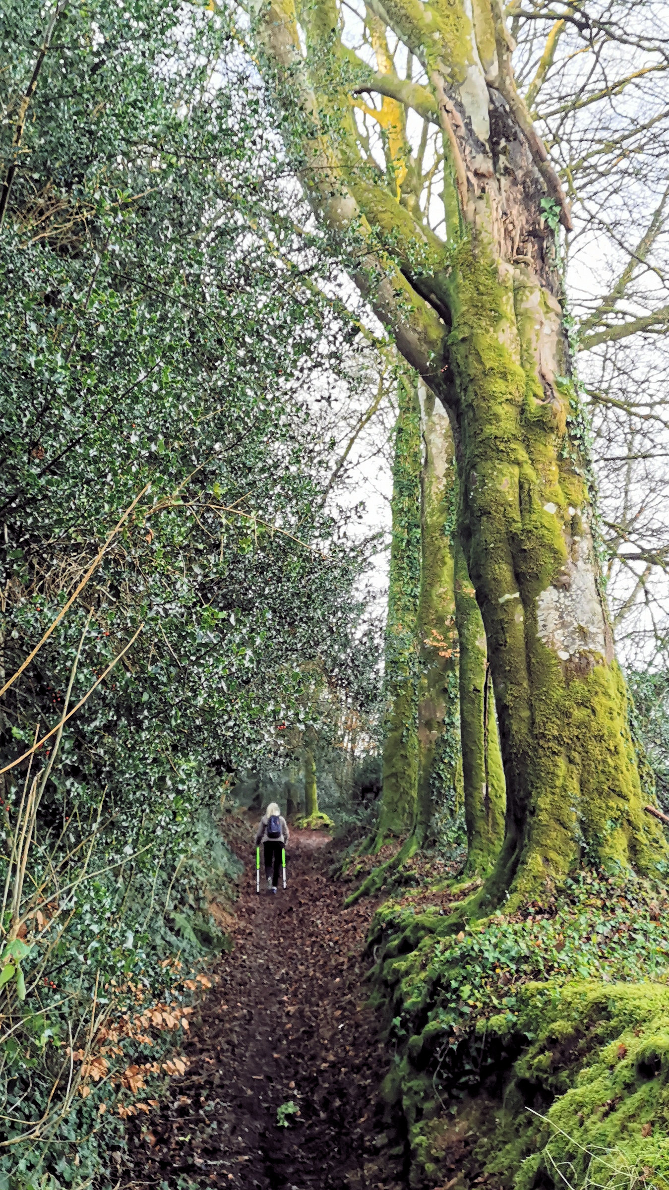 03-IMG_20210105_102242