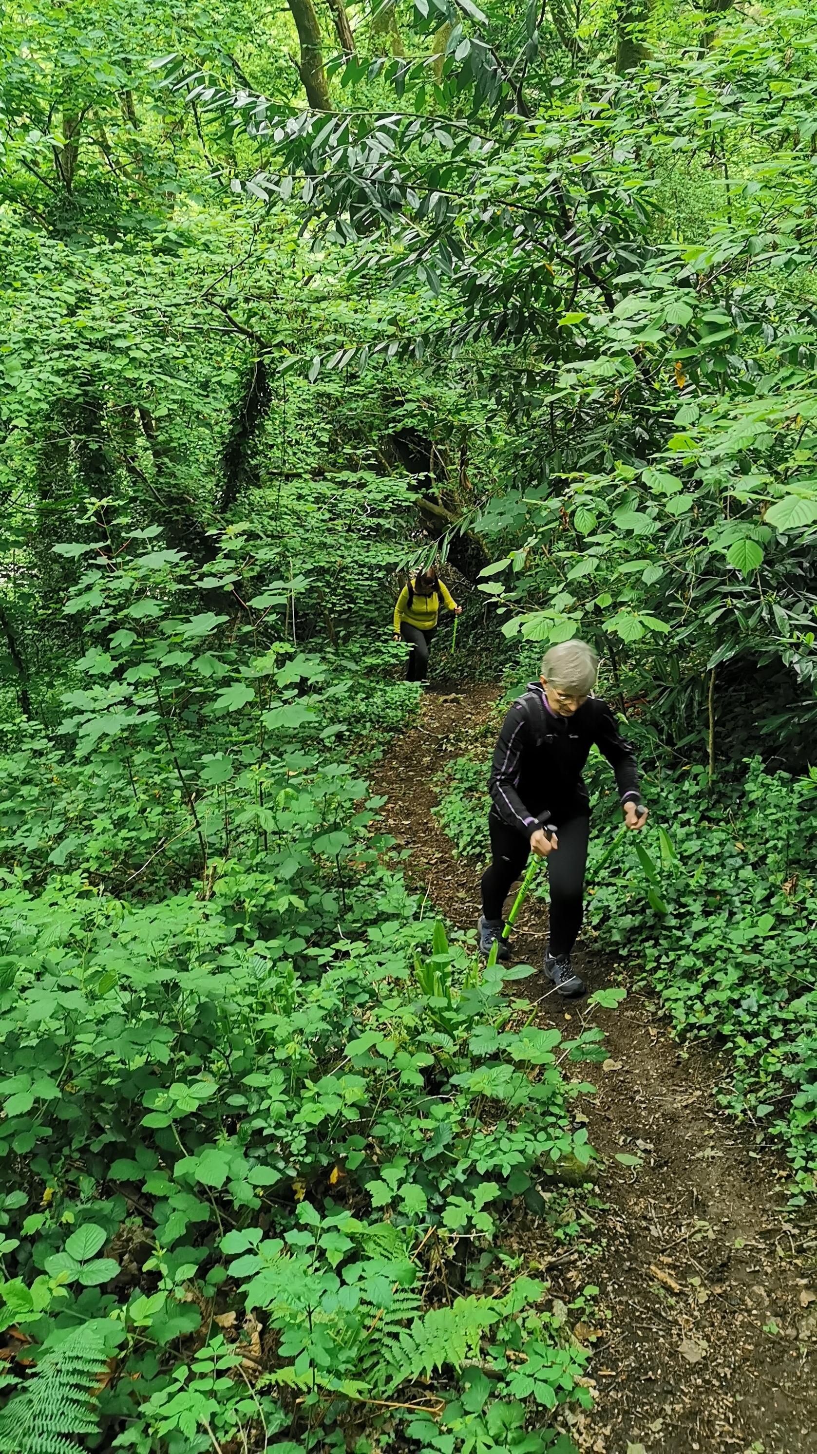 12-IMG_20210514_180910_1