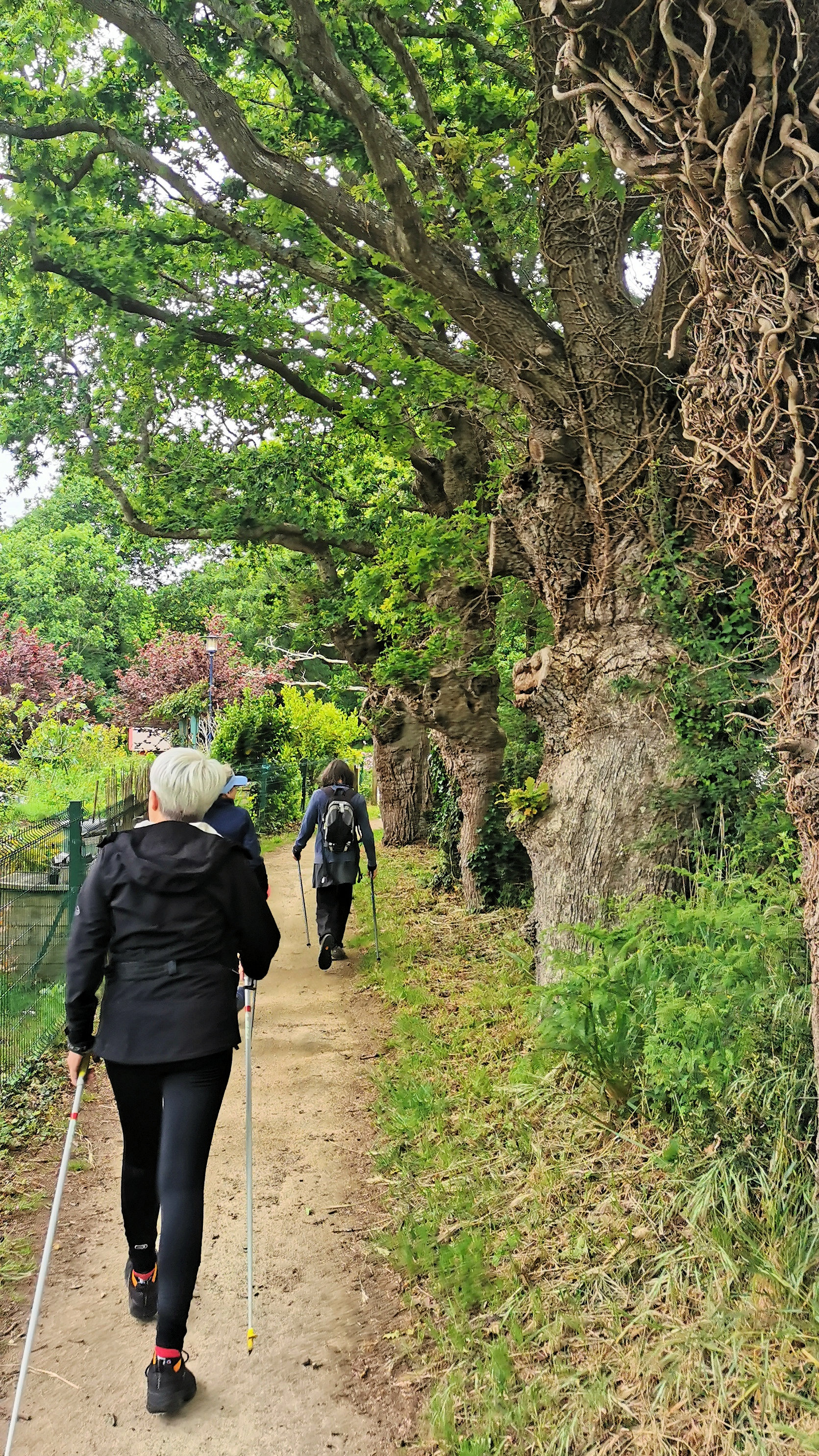 88-IMG_20210520_112305