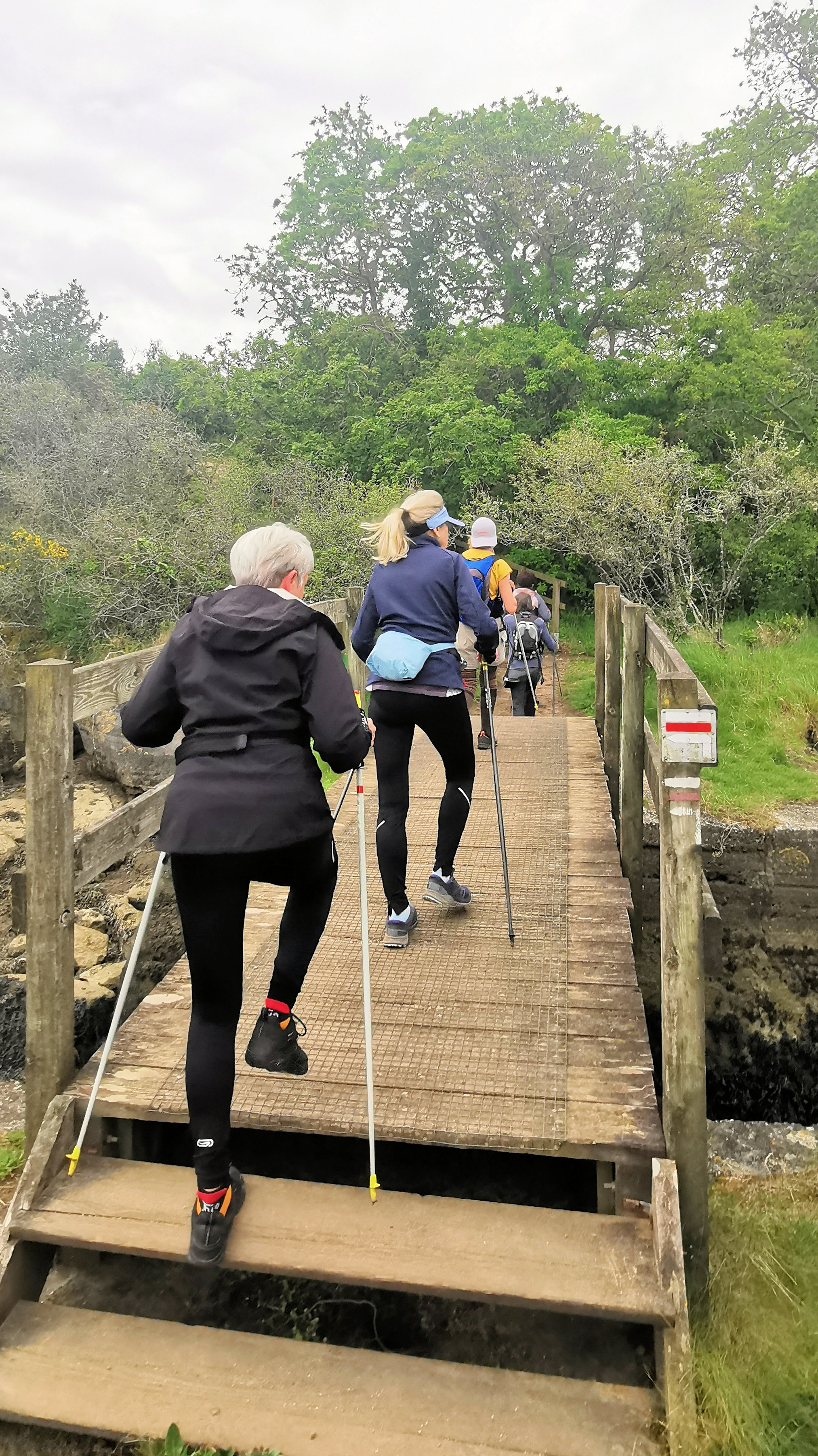 47-IMG_20210520_102617_1