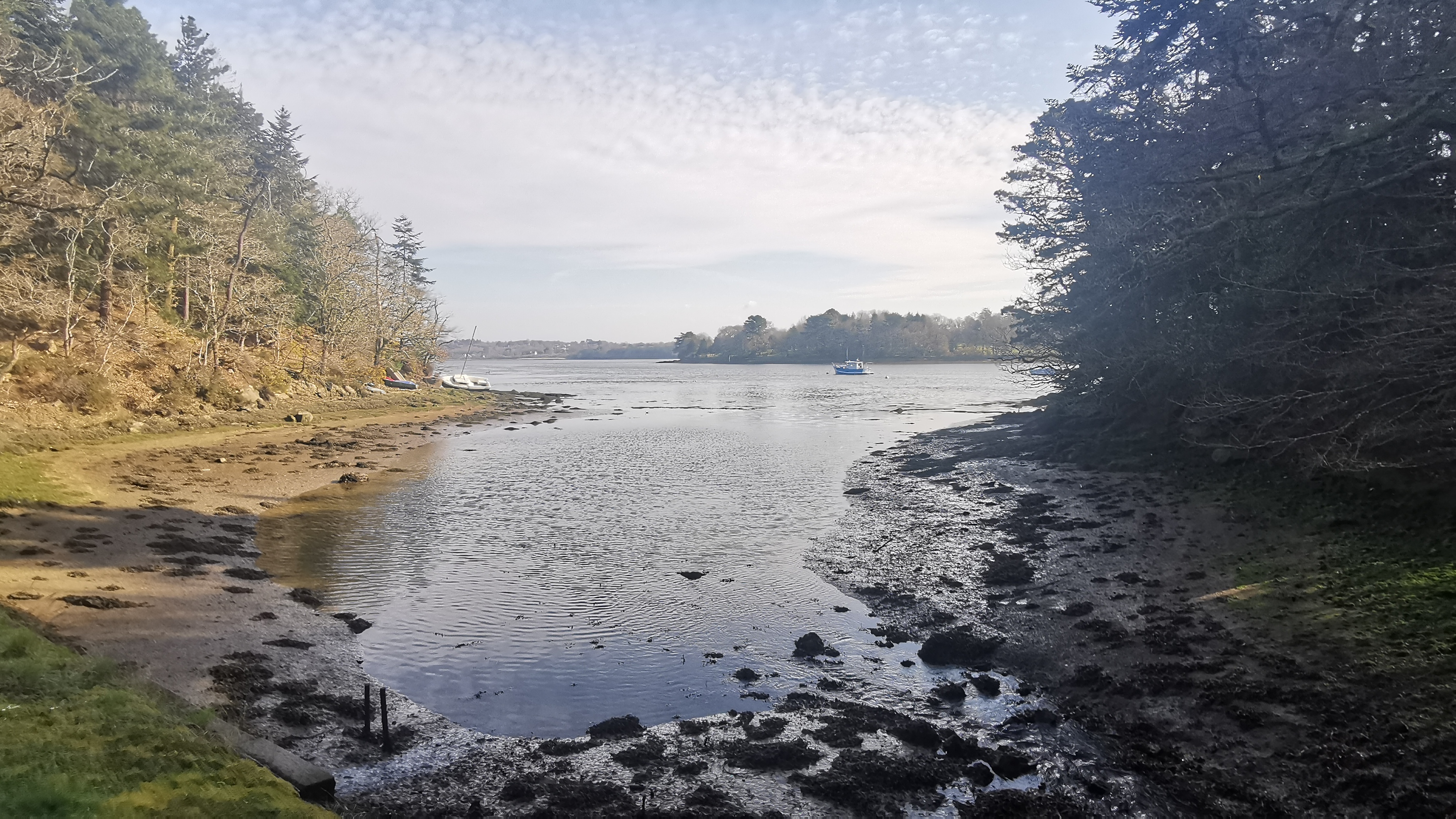 47-IMG_20210318_103259