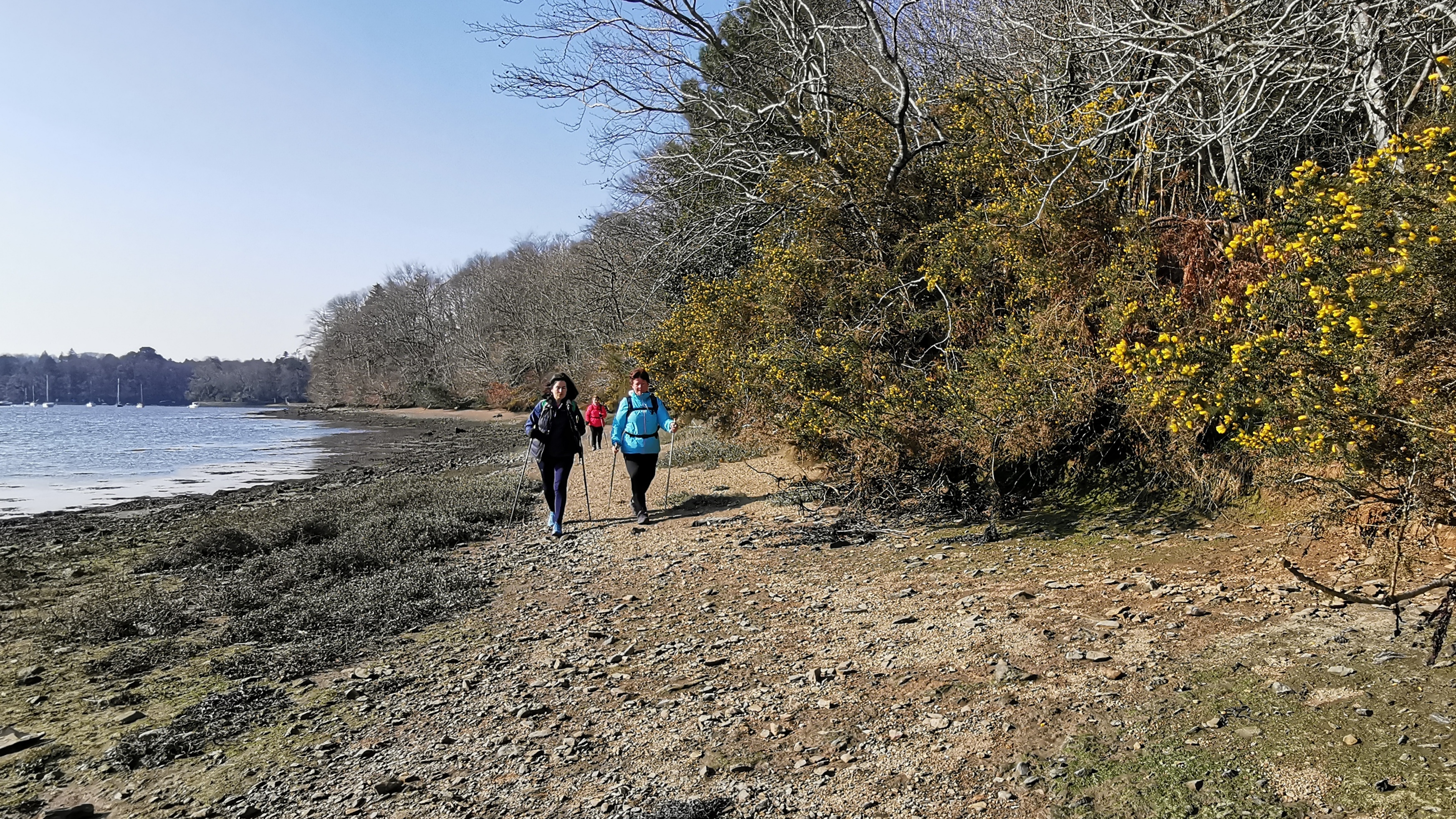 38-IMG_20210308_105403_1