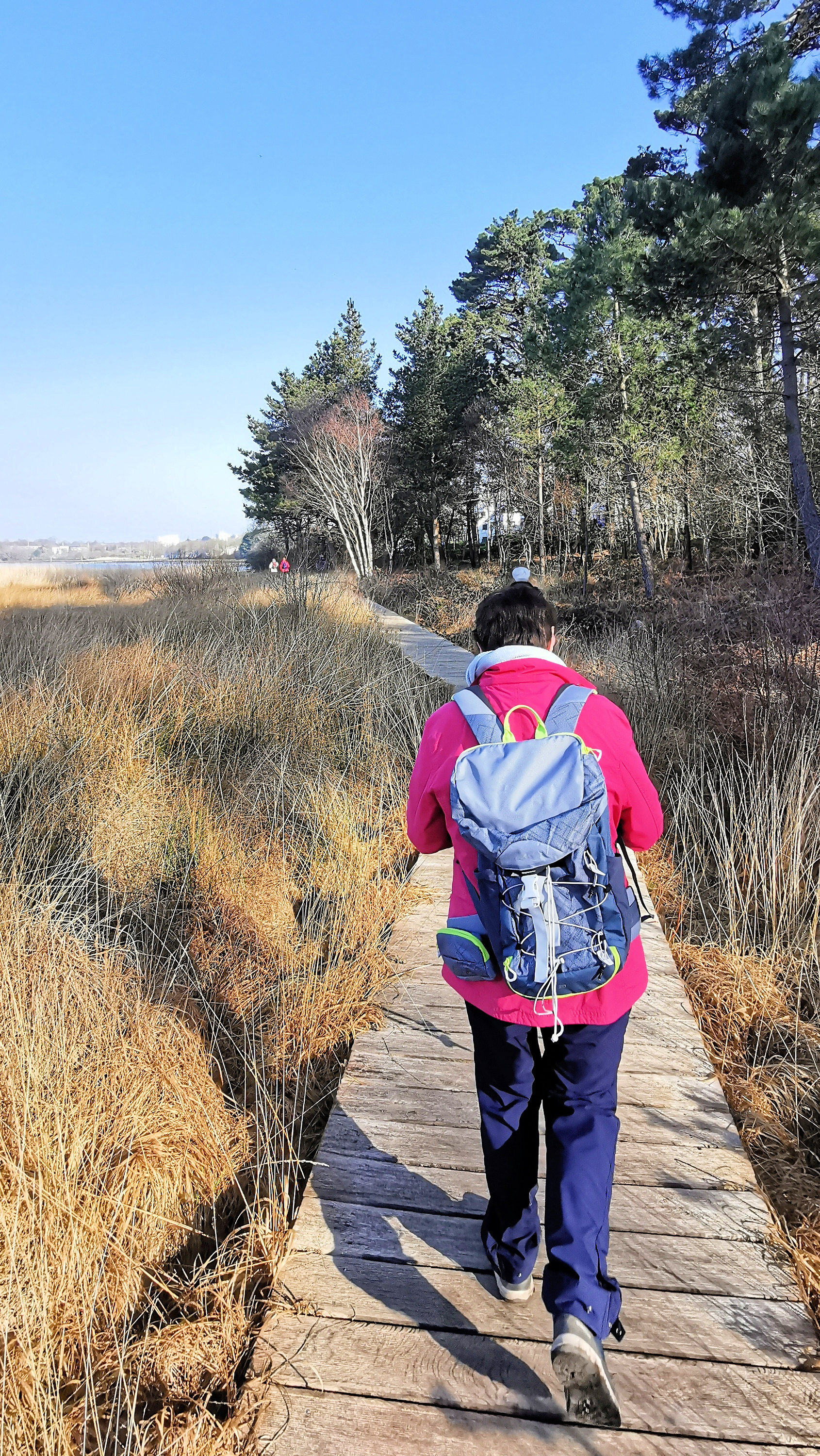 19-IMG_20210301_103332_1