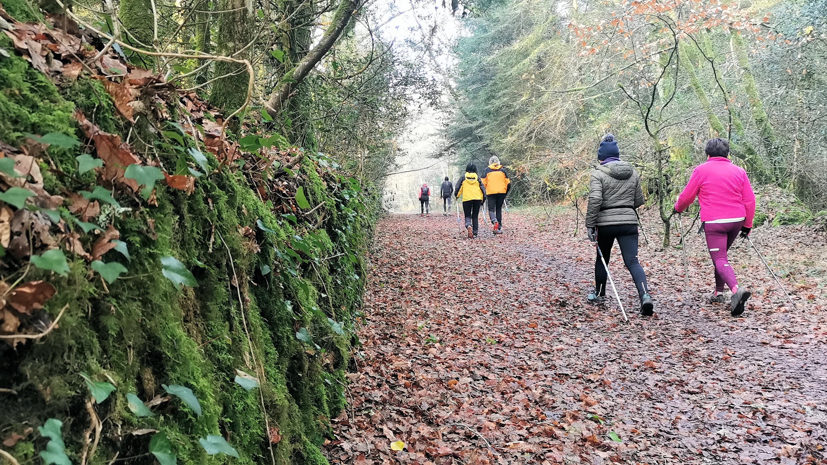 42-IMG_20210107_105439