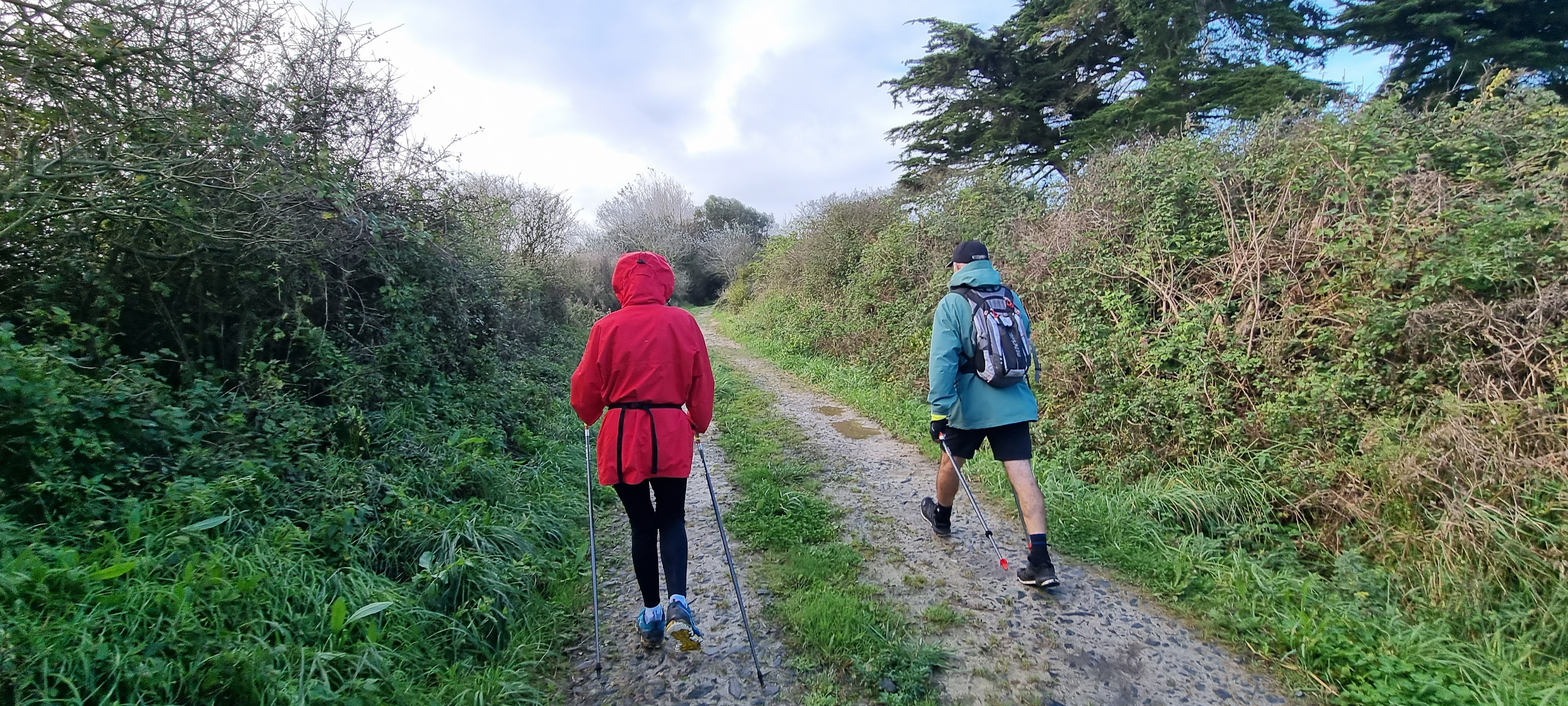 67-20211021_110811(0)