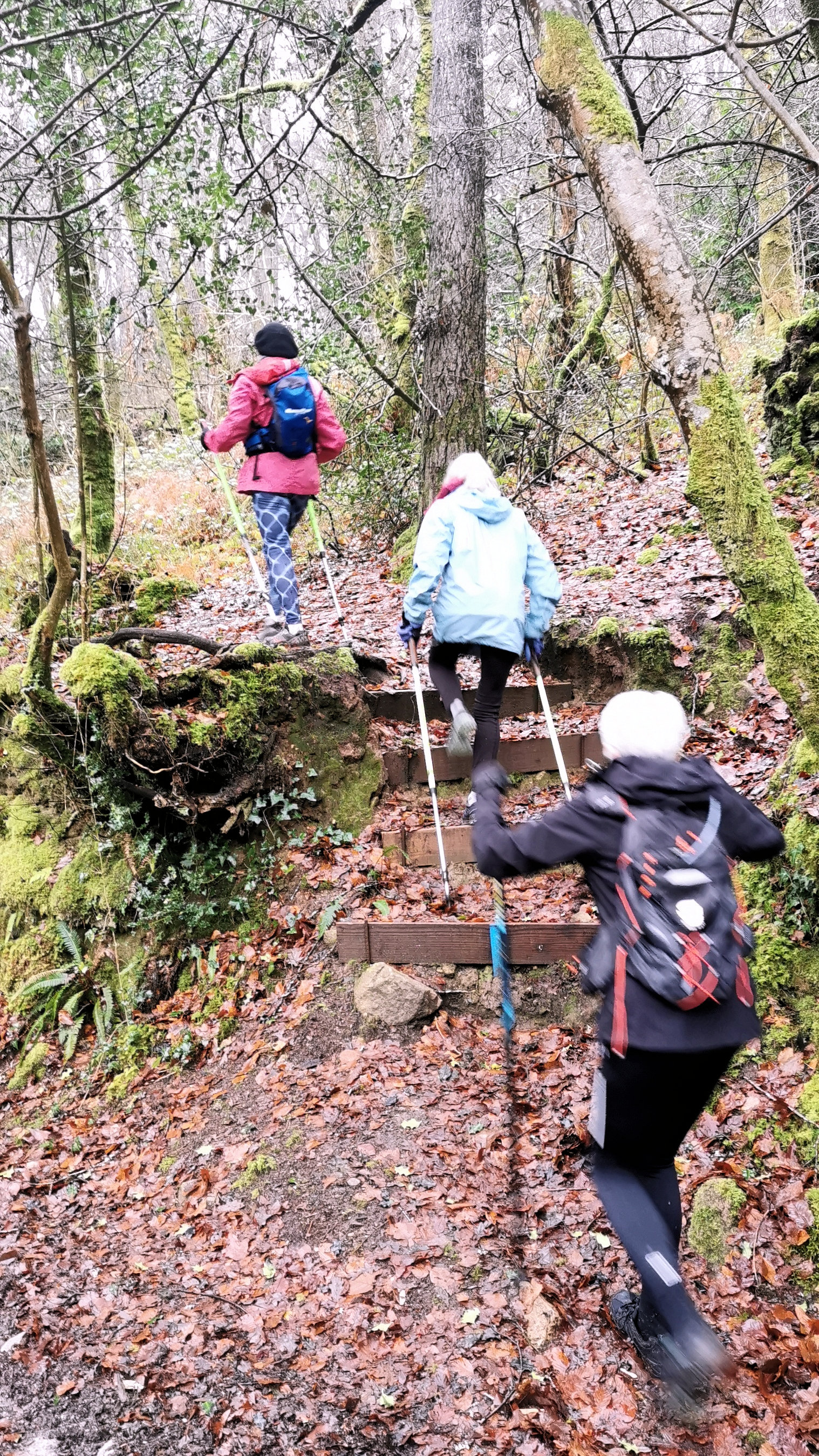 11-IMG_20210119_105957