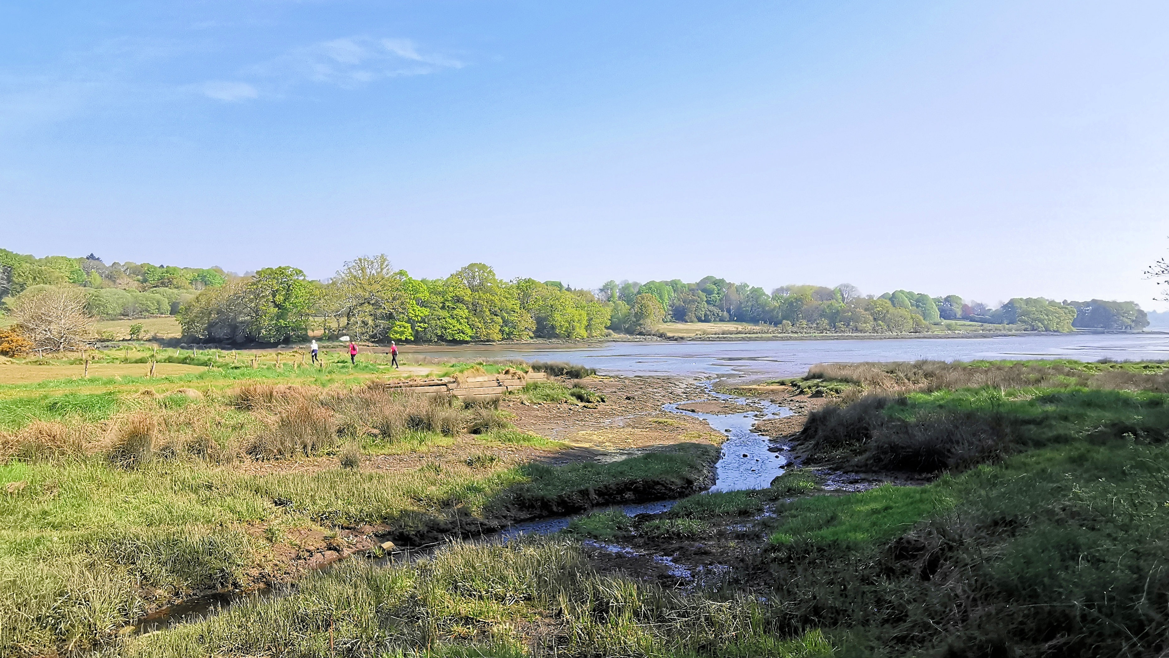 68-IMG_20210422_112824