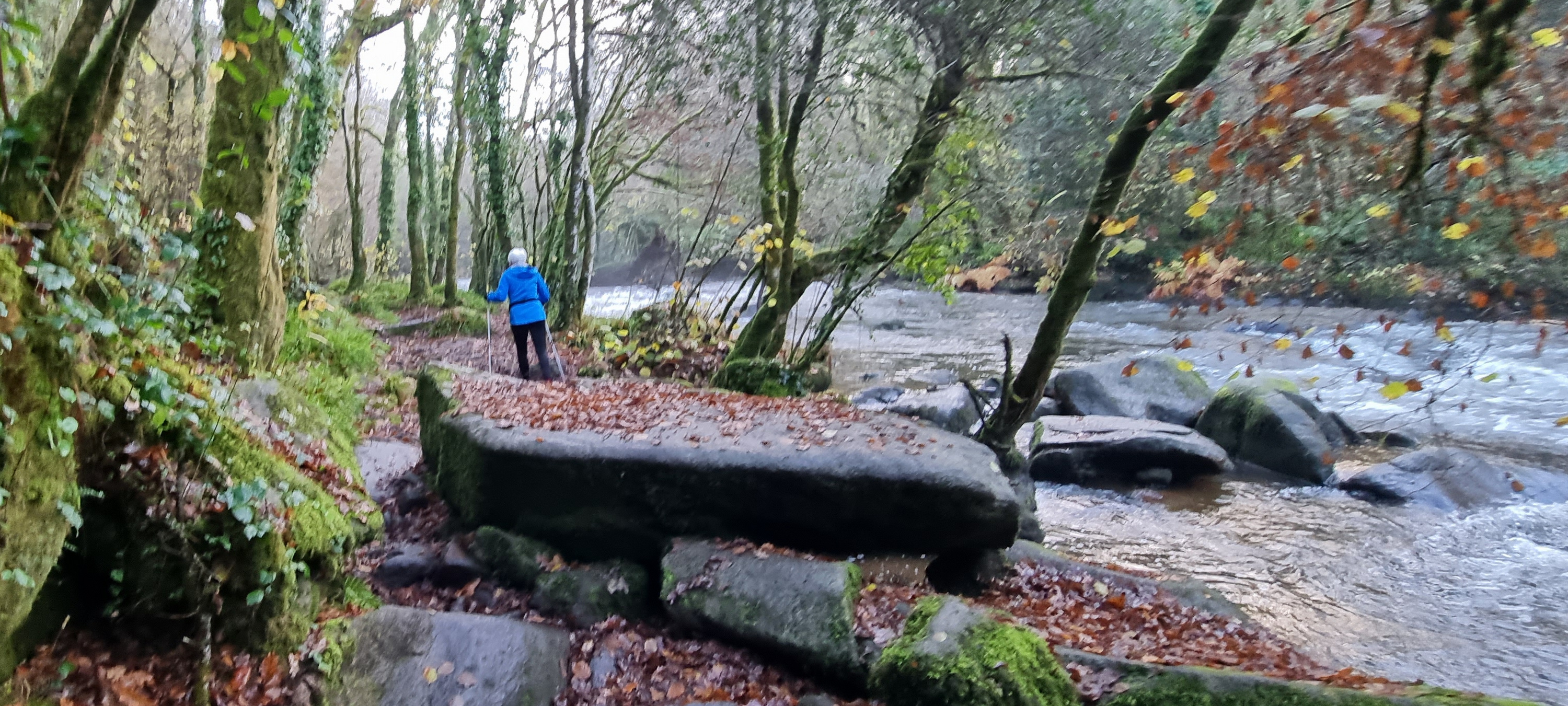 11-20211202_095726(0)