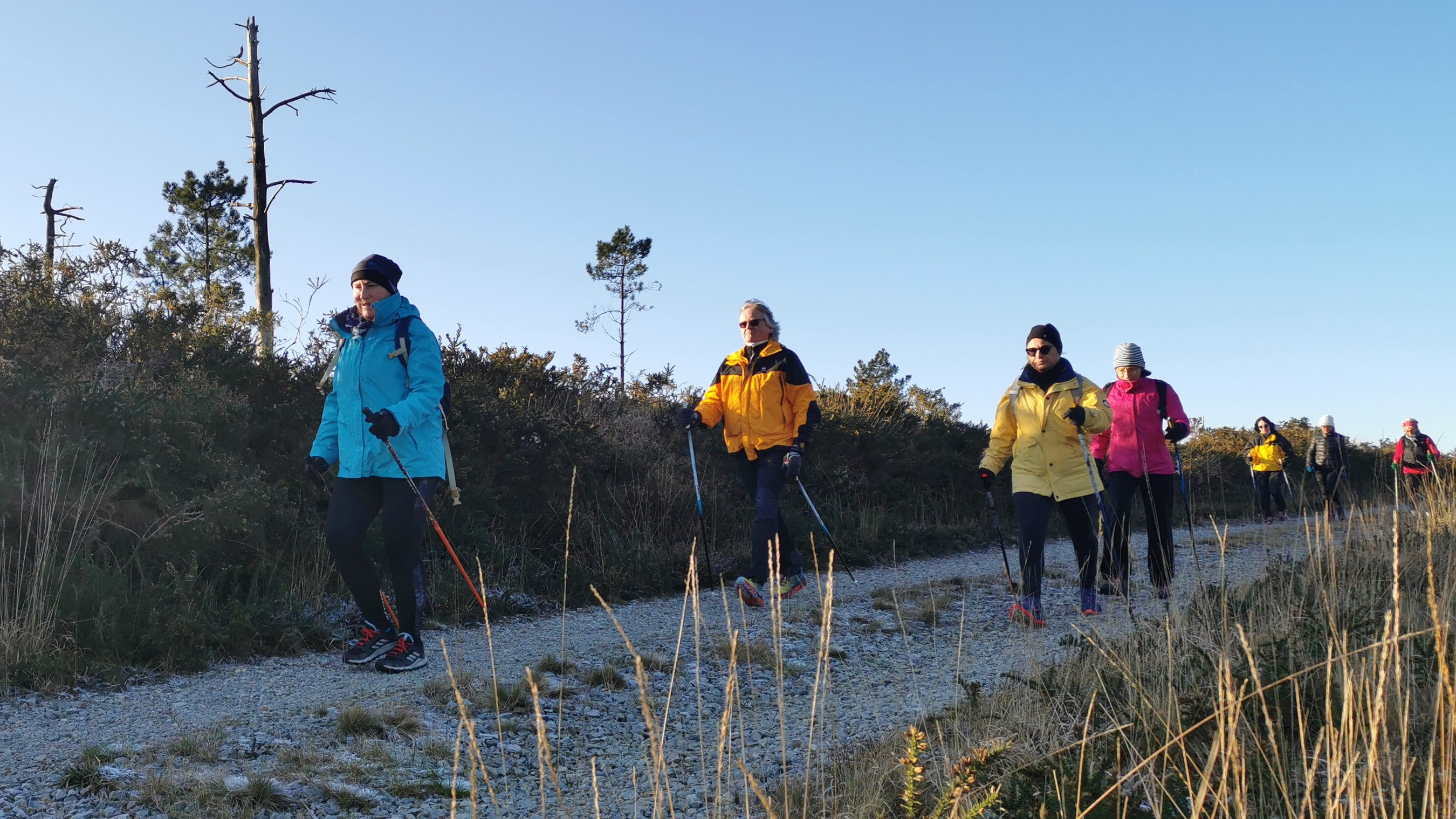 048-IMG_20210110_103614_1