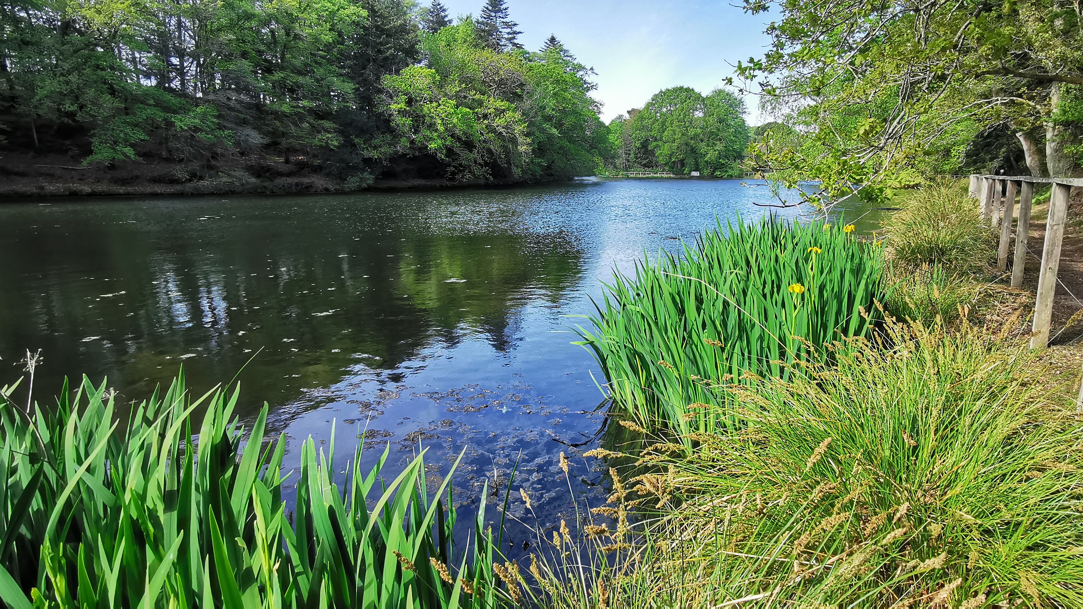 68-IMG_20210425_110332