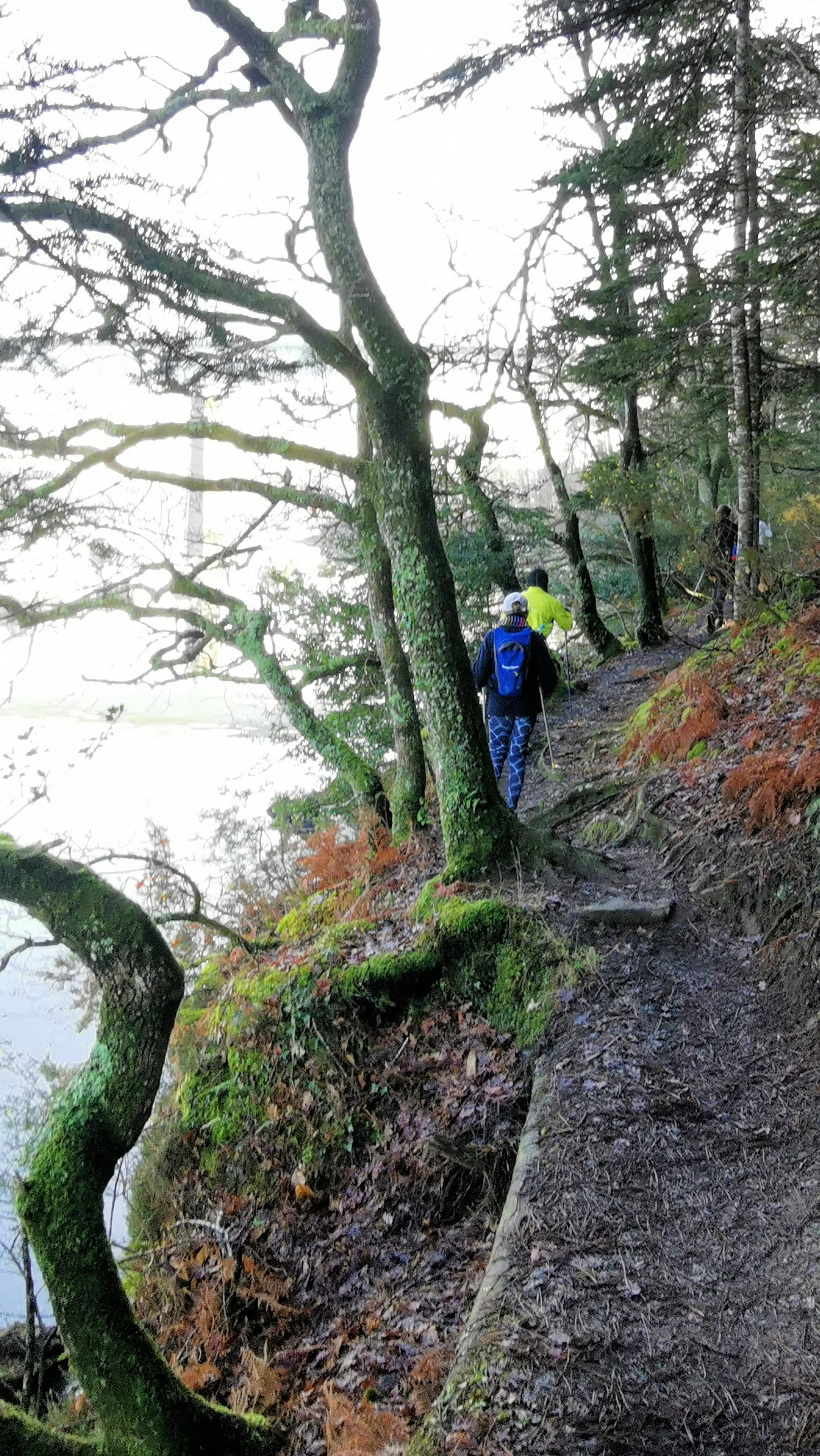 47-IMG_20210206_112701