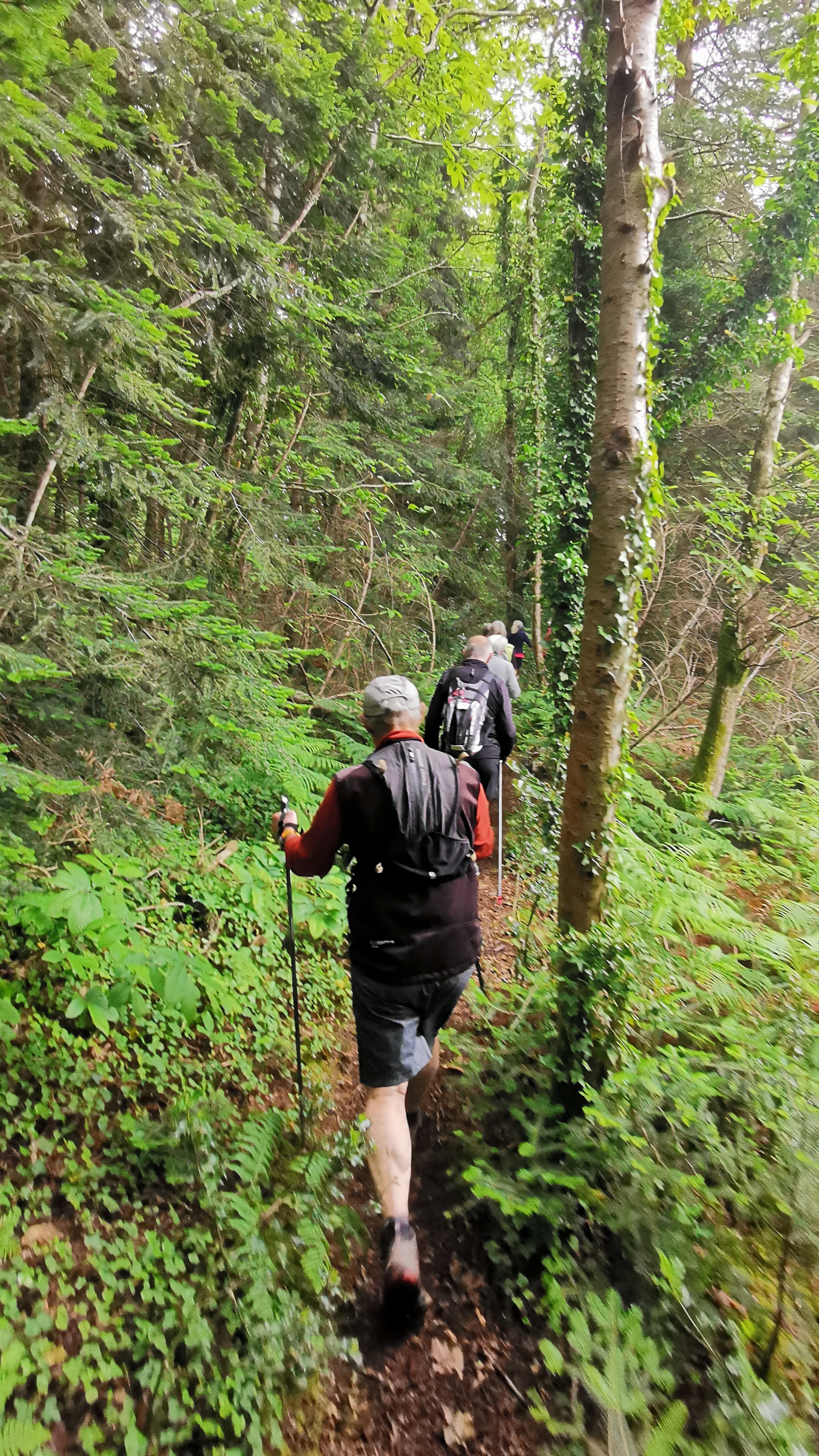 18-IMG_20210527_102550_1