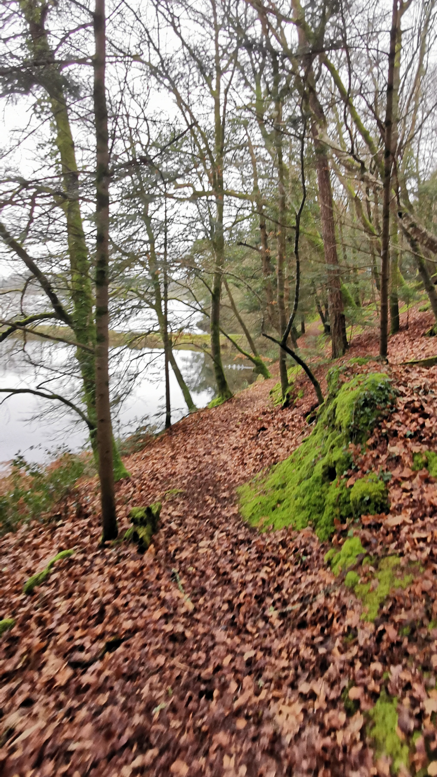 058-IMG_20210220_111145