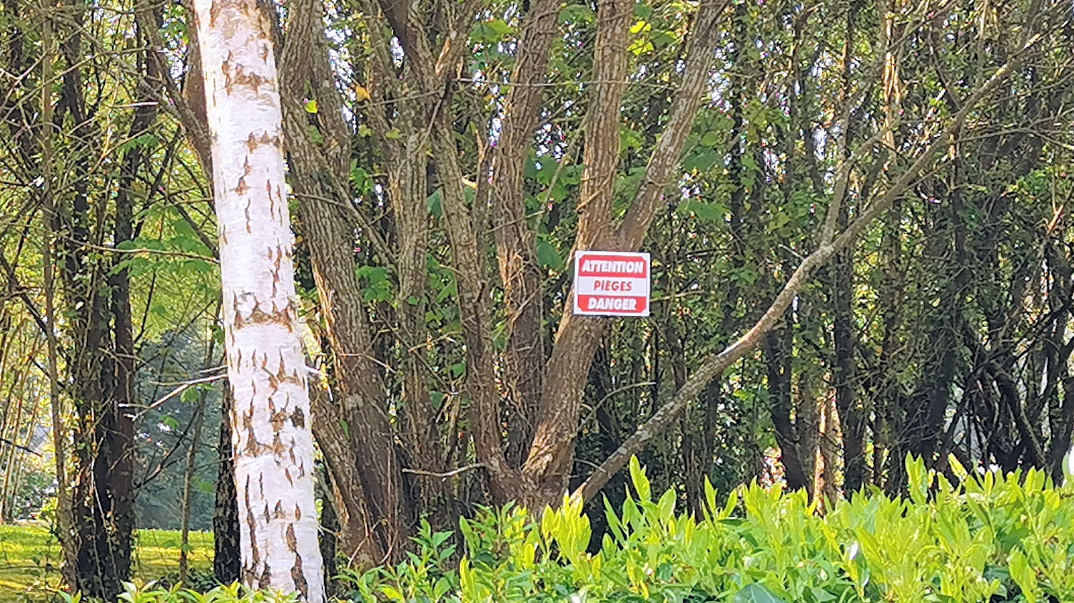 64-IMG_20210422_112243