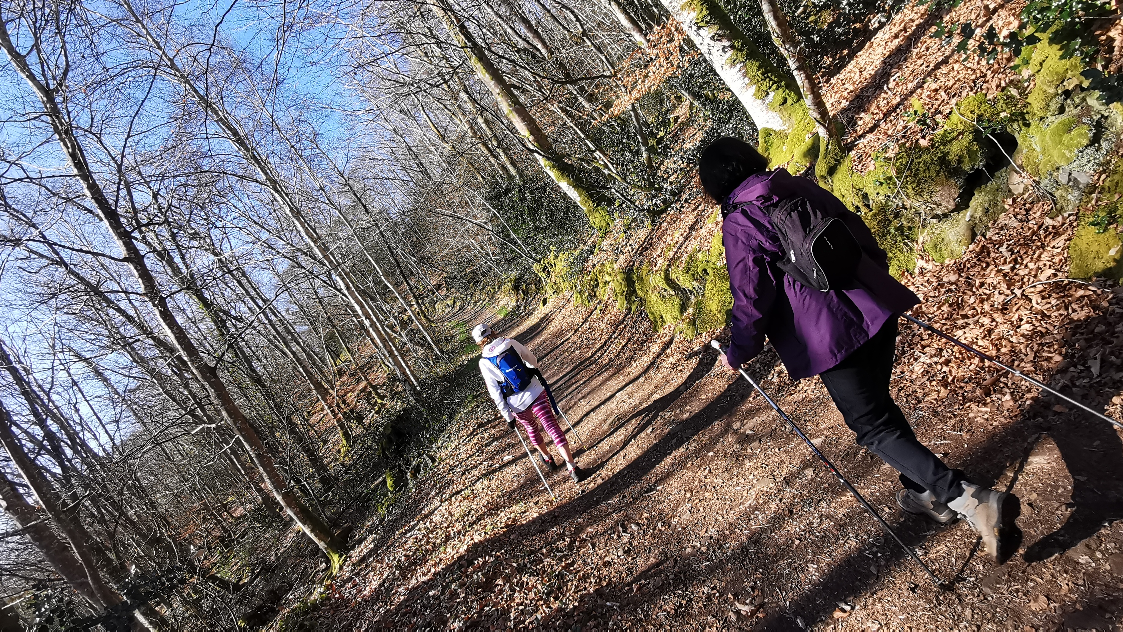 17-IMG_20210320_101346