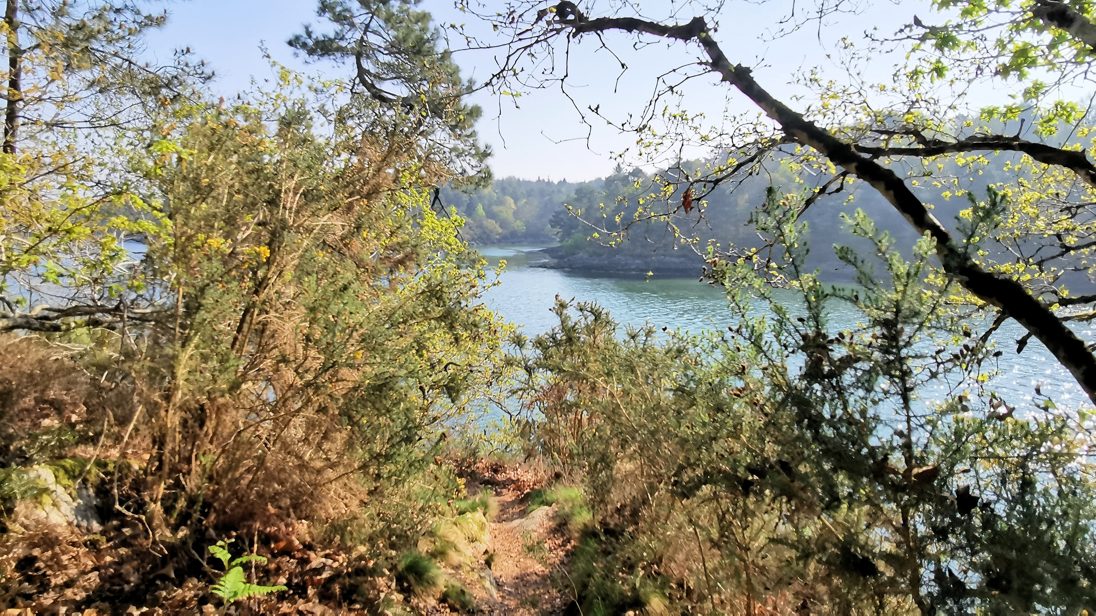 22-IMG_20210422_105130