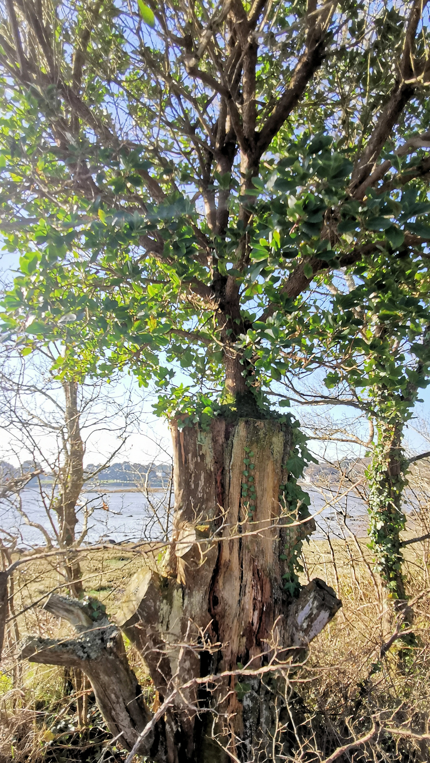 049-IMG_20210228_102441