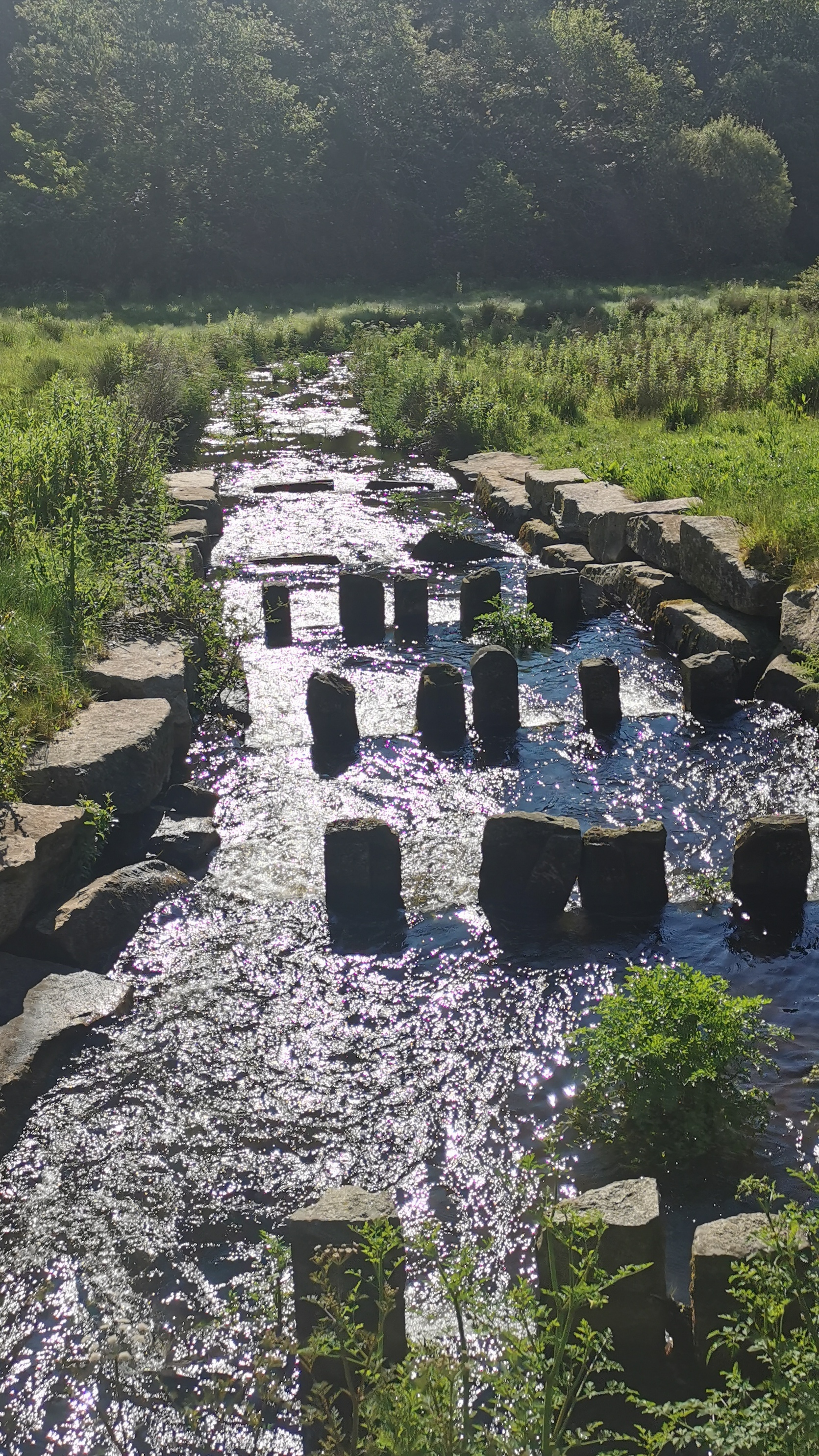 09-IMG_20210531_100123