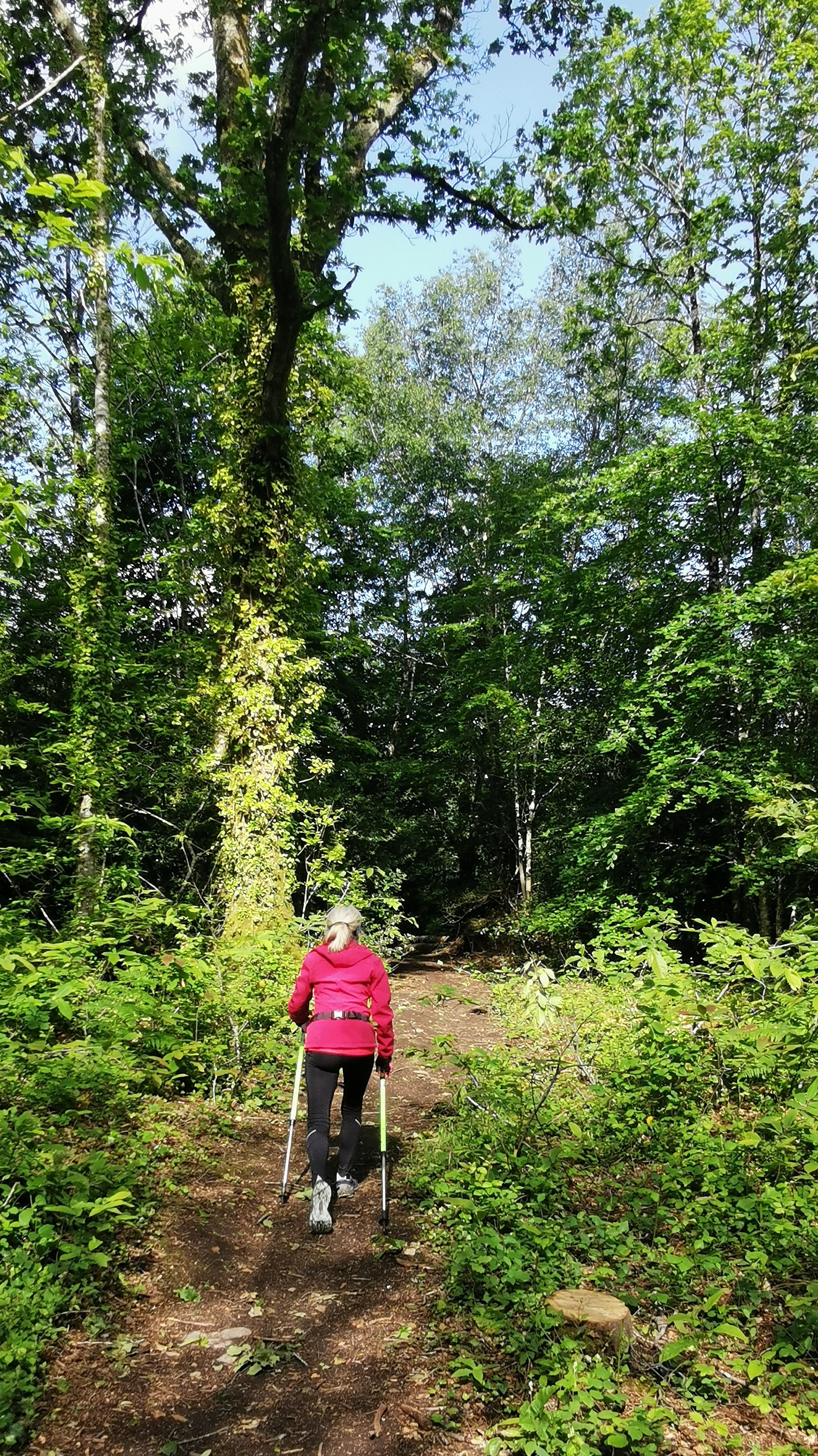 20-IMG_20210525_101503_1