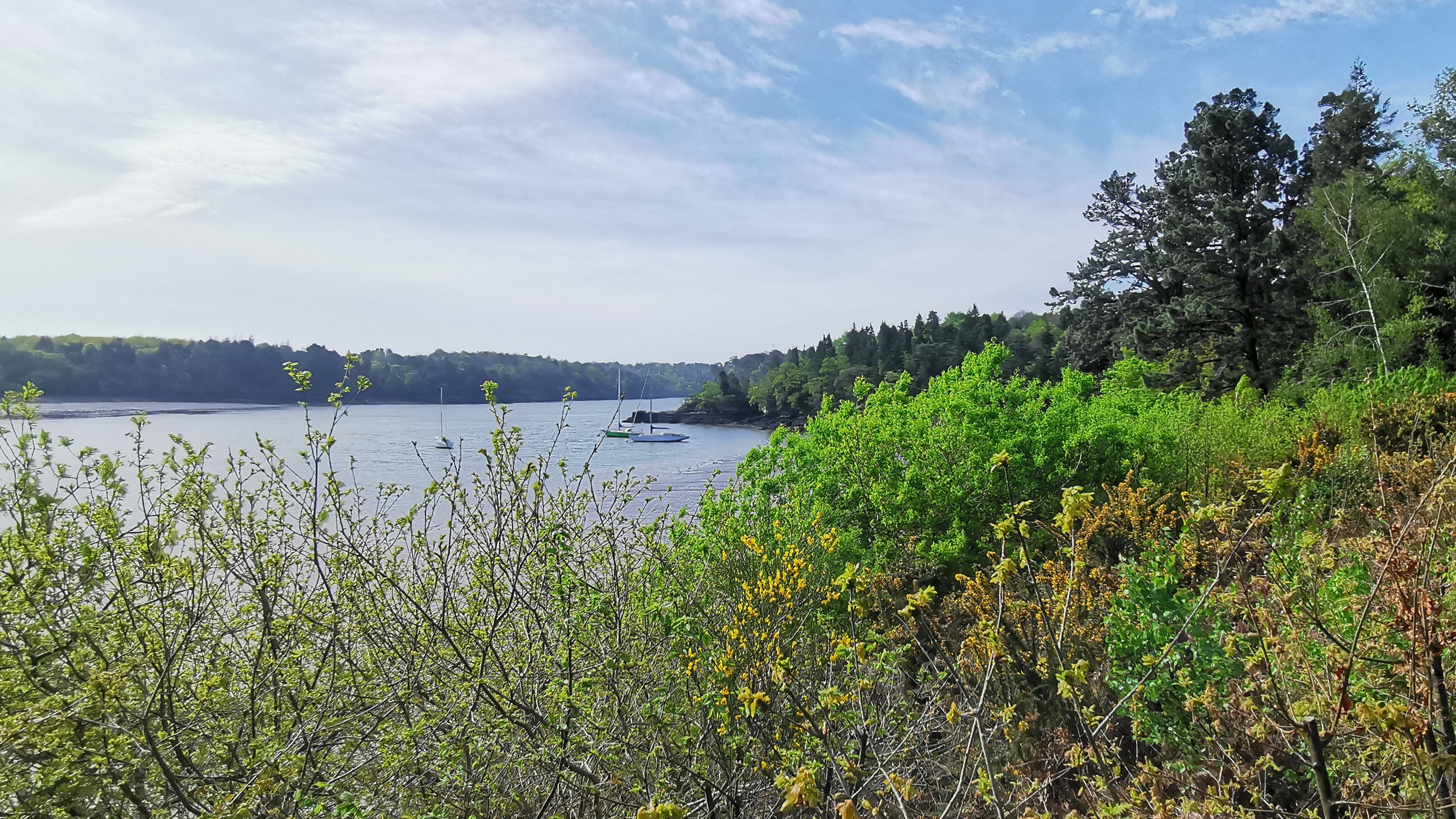 76-IMG_20210425_111019_1