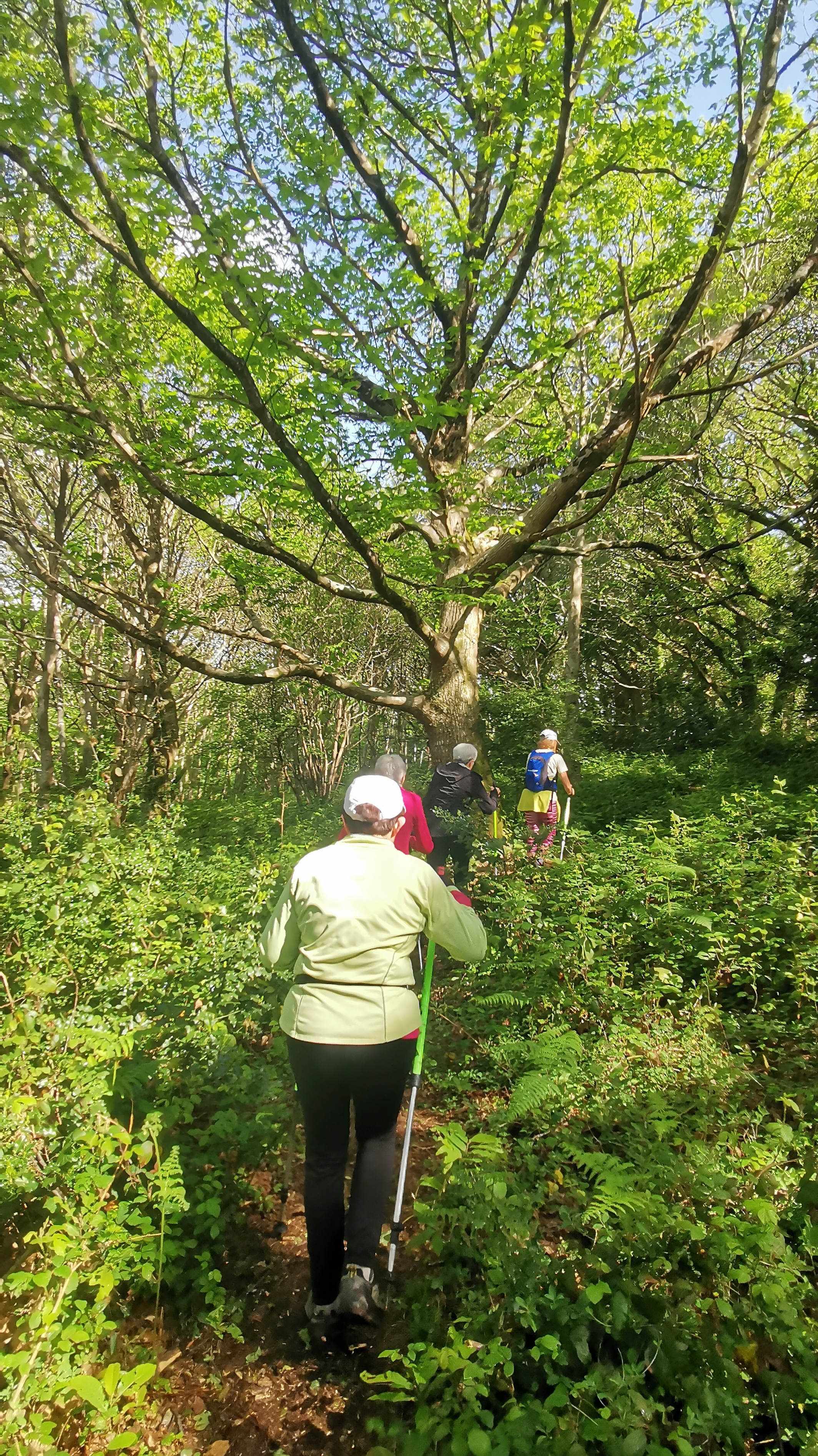 22-IMG_20210518_110157