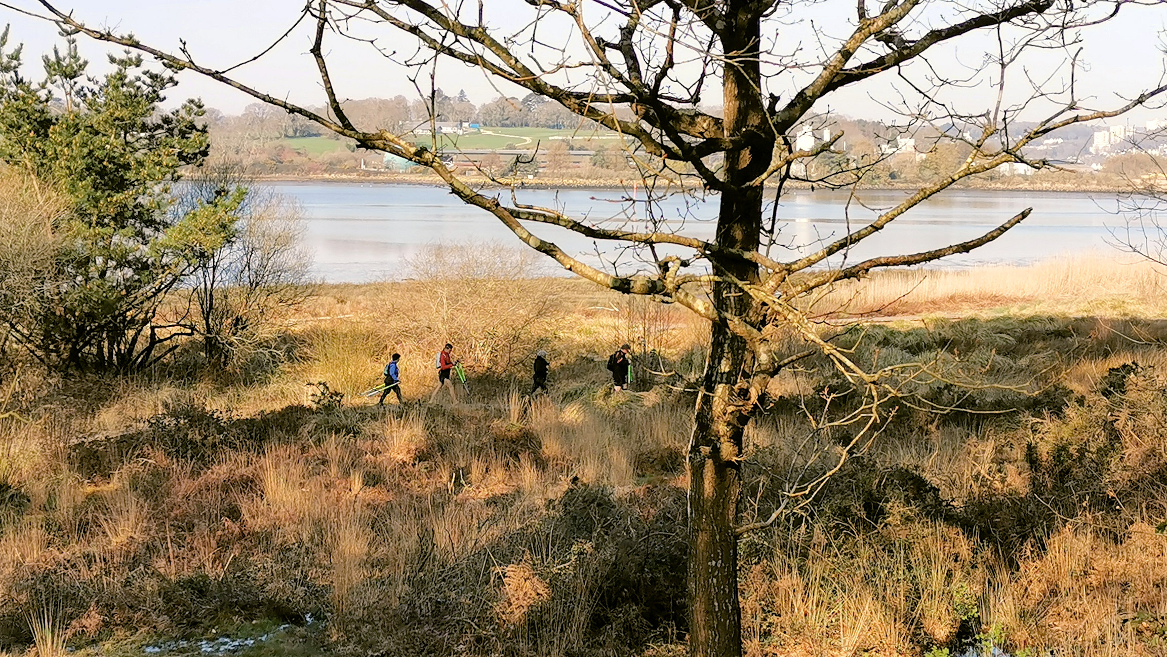 17-IMG_20210301_103212