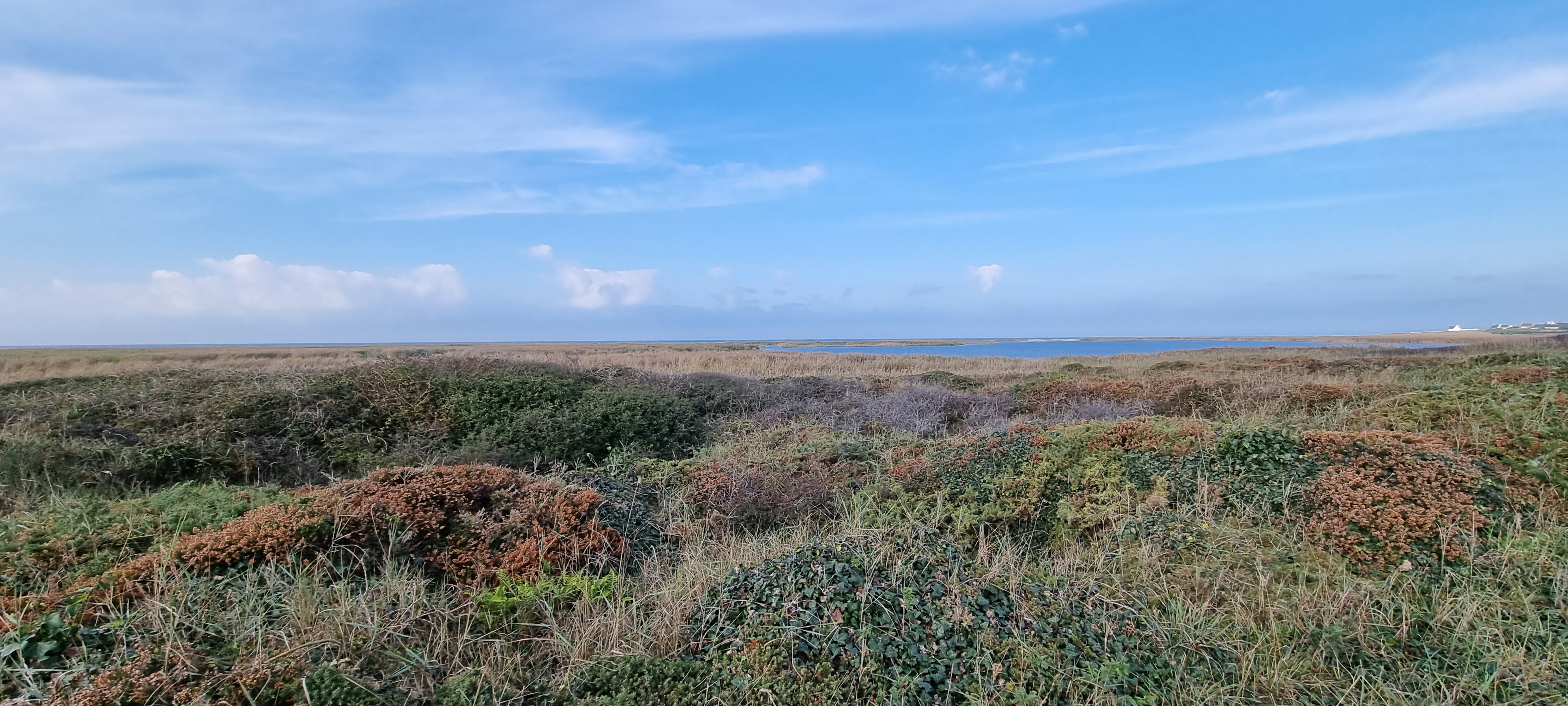 58-20211017_110423(0)