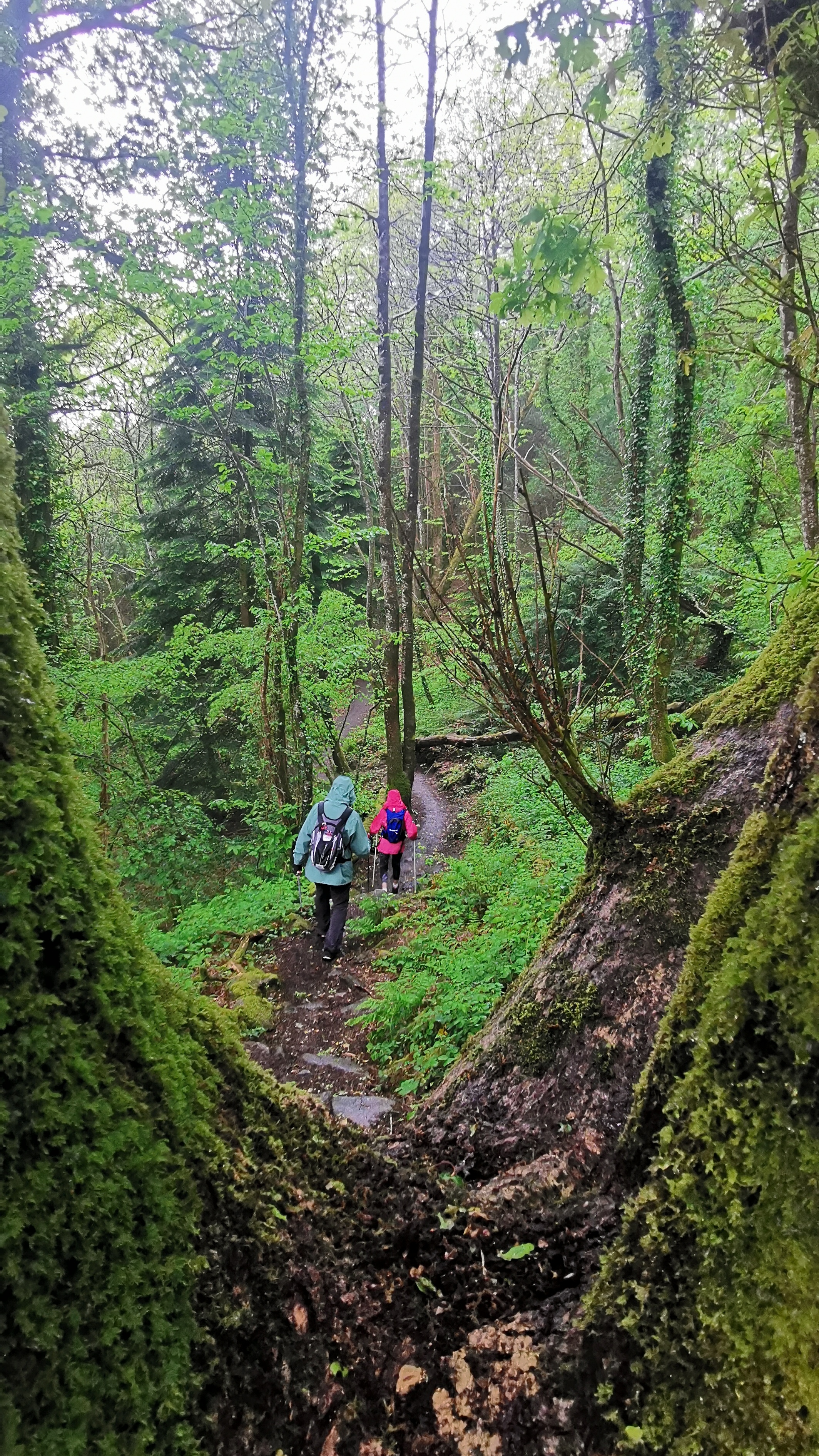 002-IMG_20210513_093538