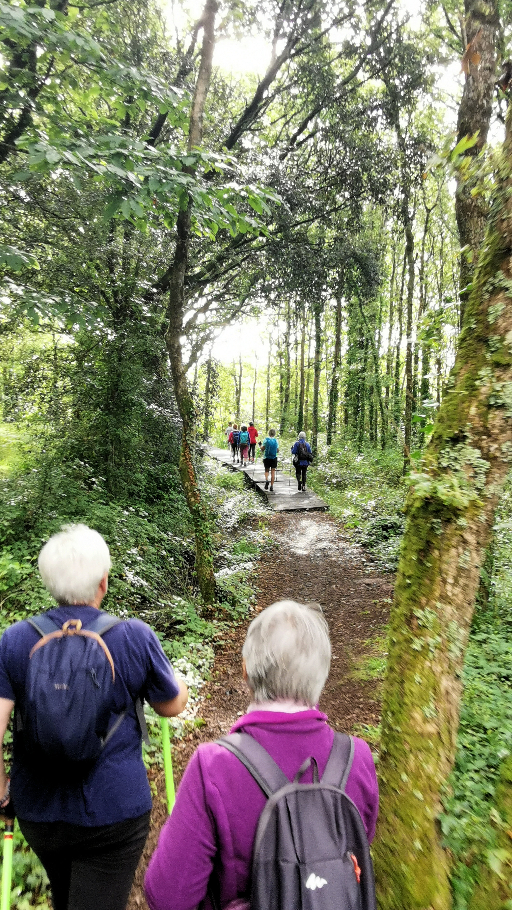 17-IMG_20210809_104915