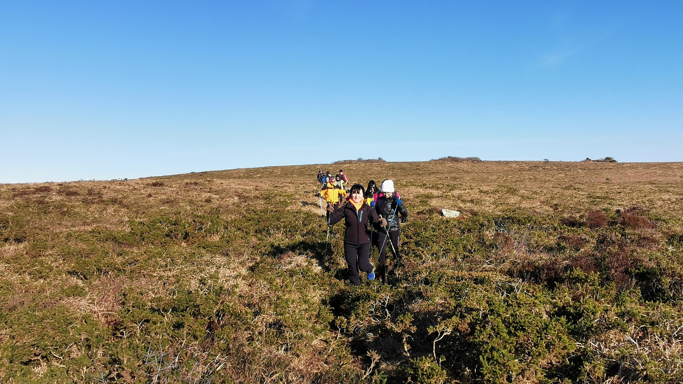 137-IMG_20210110_112908_1