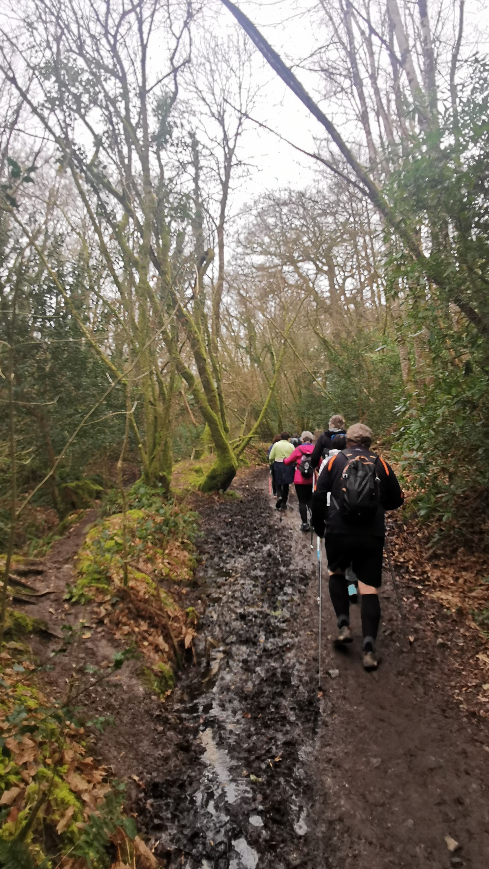 25-IMG_20210304_103621