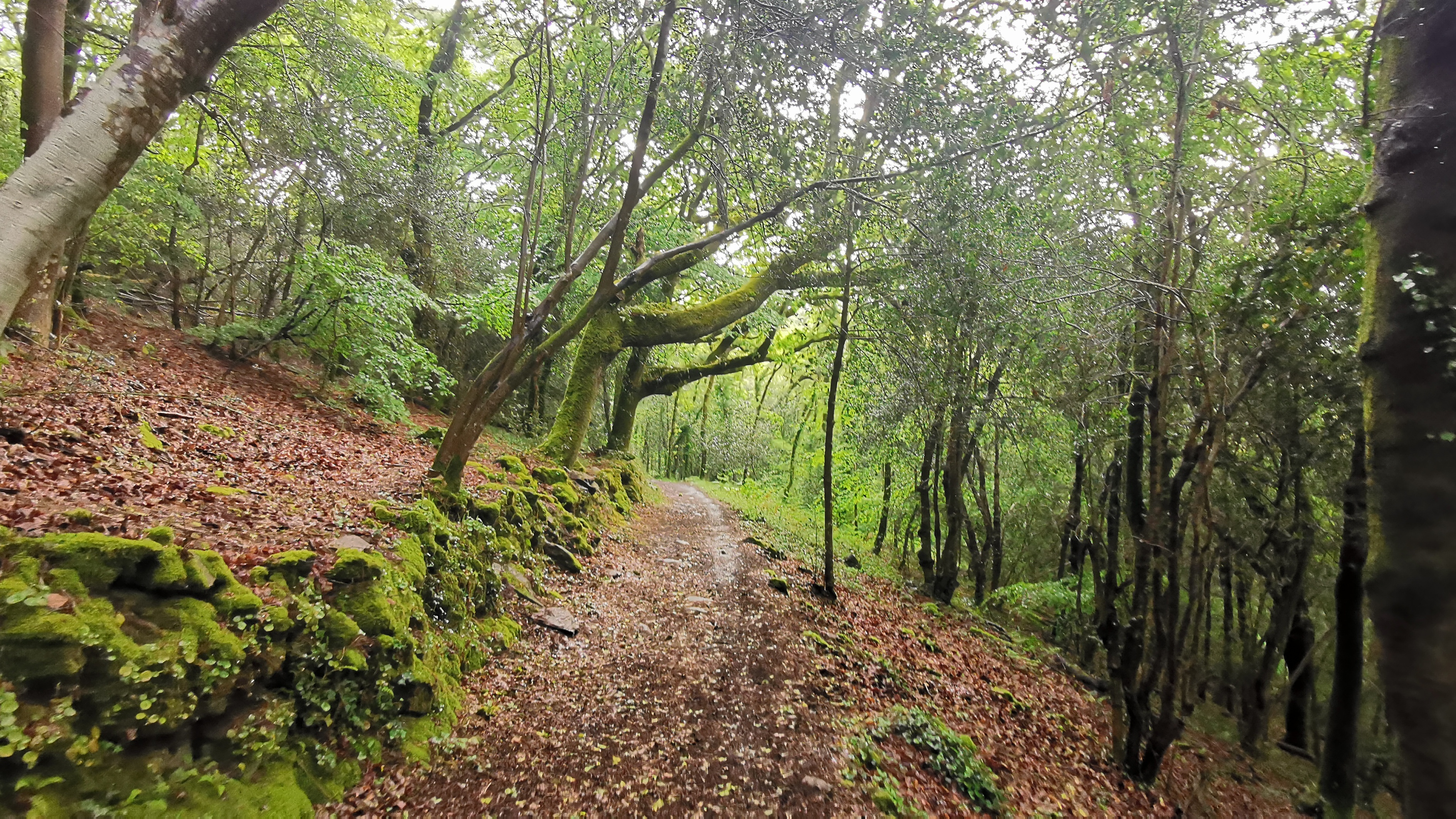 023-IMG_20210513_100805