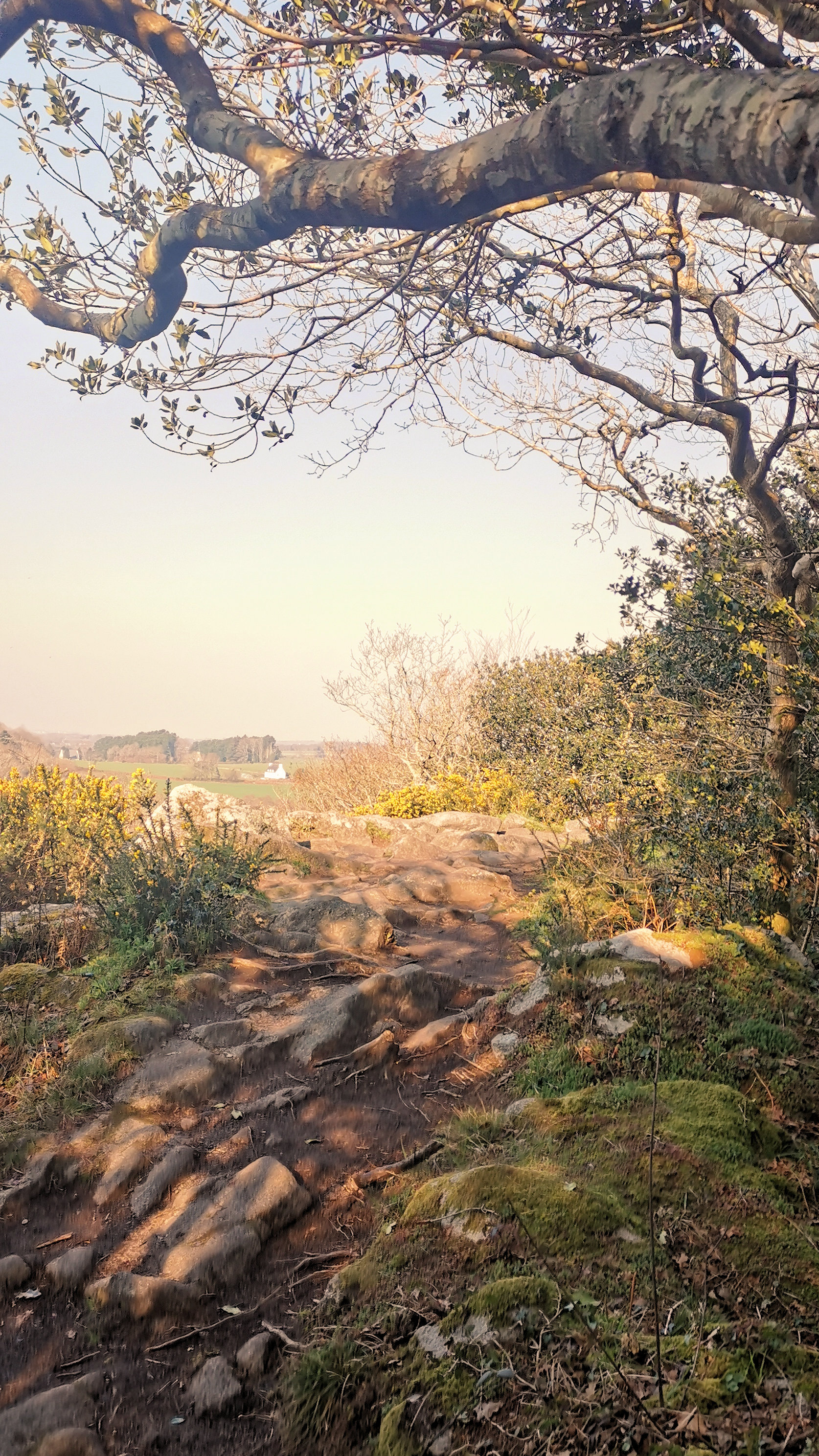 30-IMG_20210307_102457