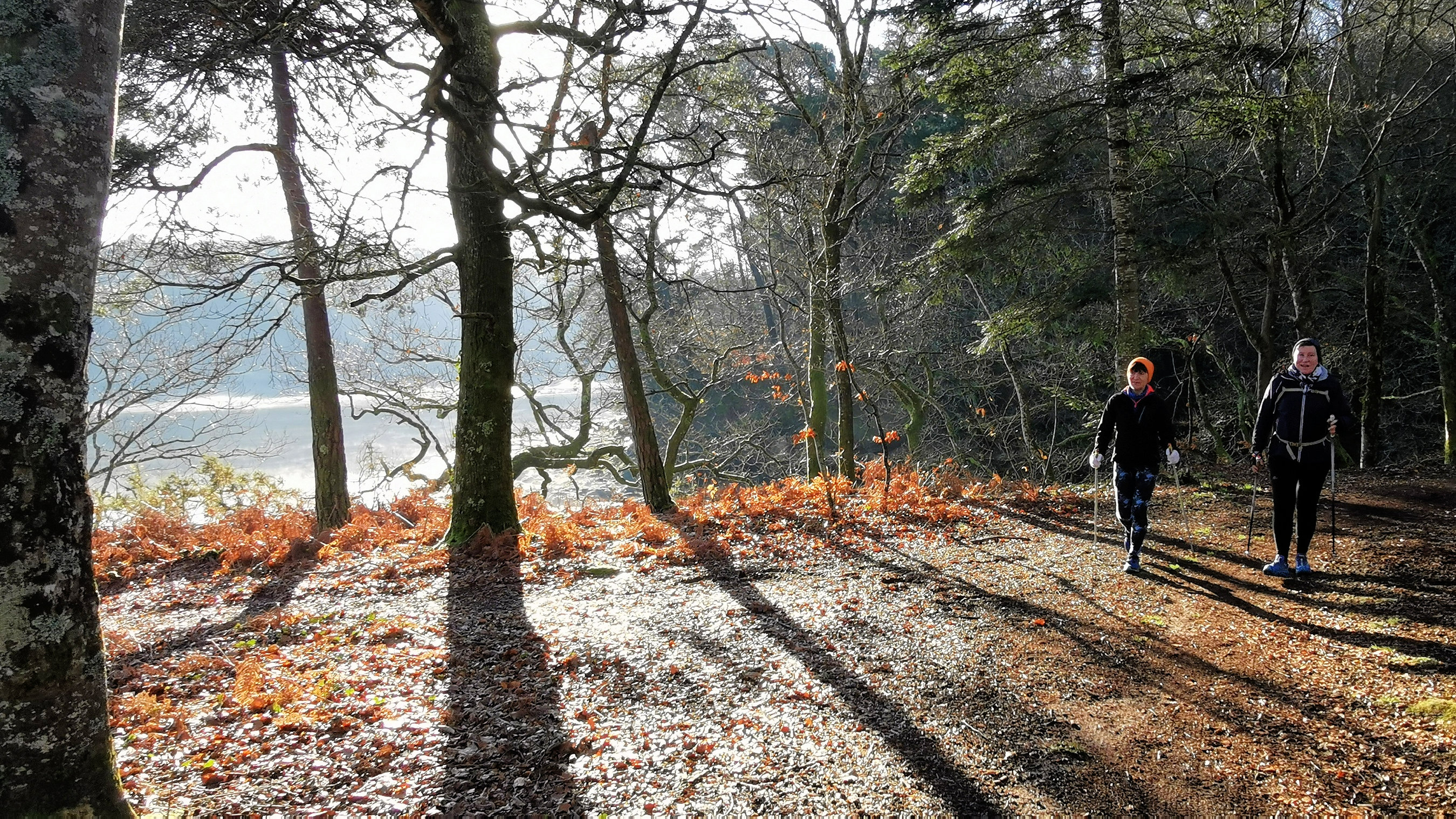 26-IMG_20210207_101945