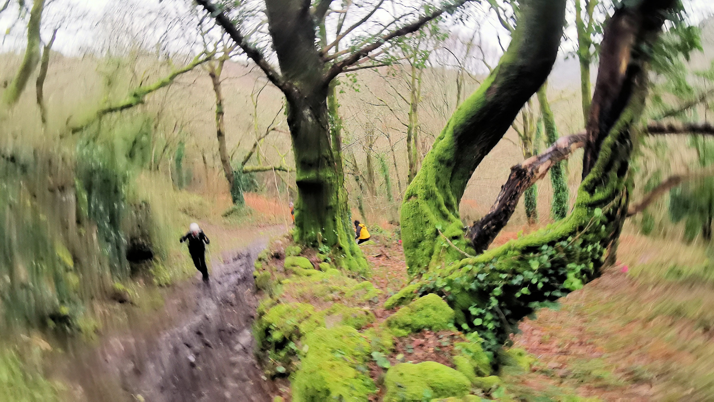 23-IMG_20210121_101517