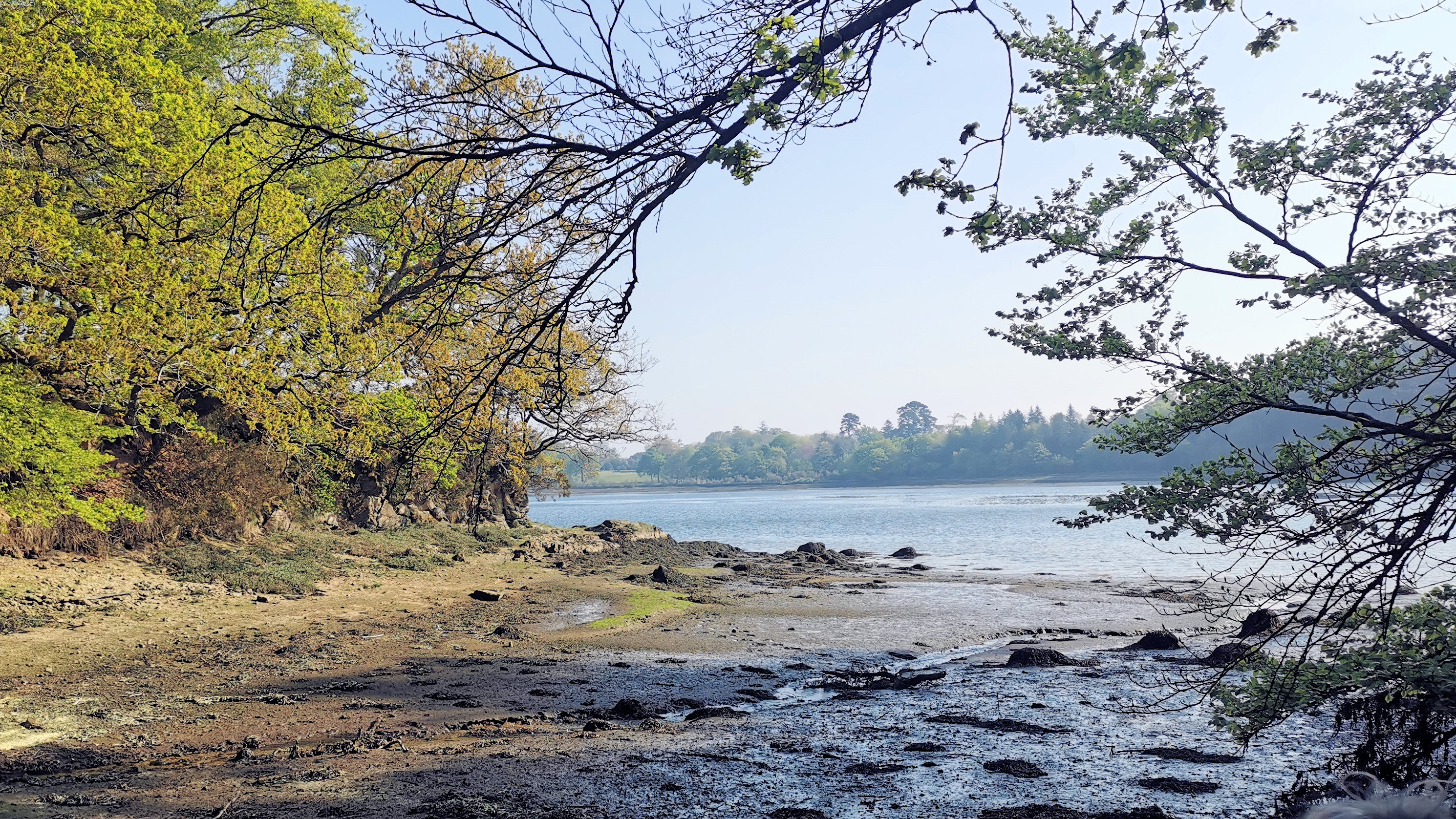 10-IMG_20210422_102831_1