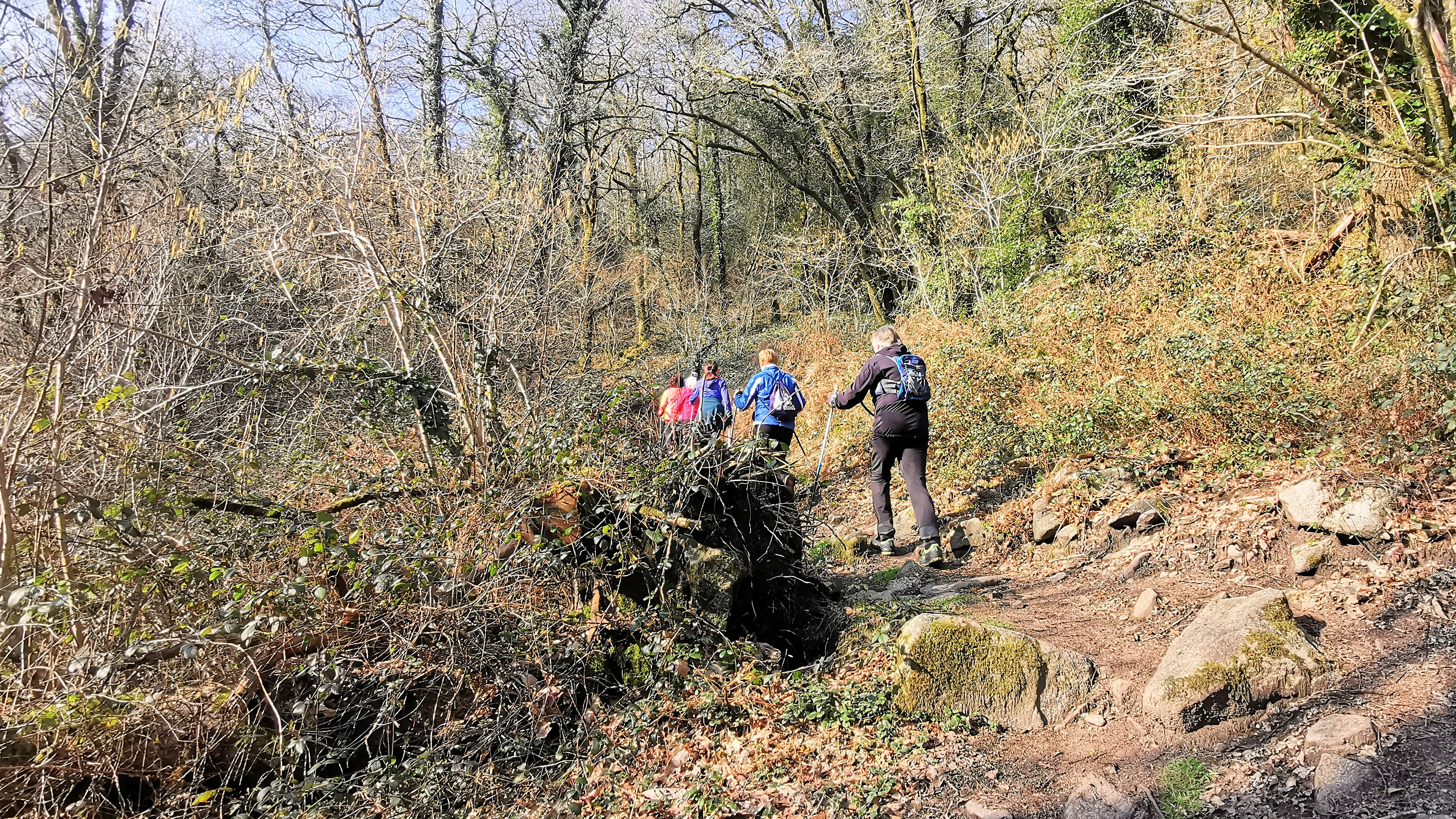 86-IMG_20210307_111803