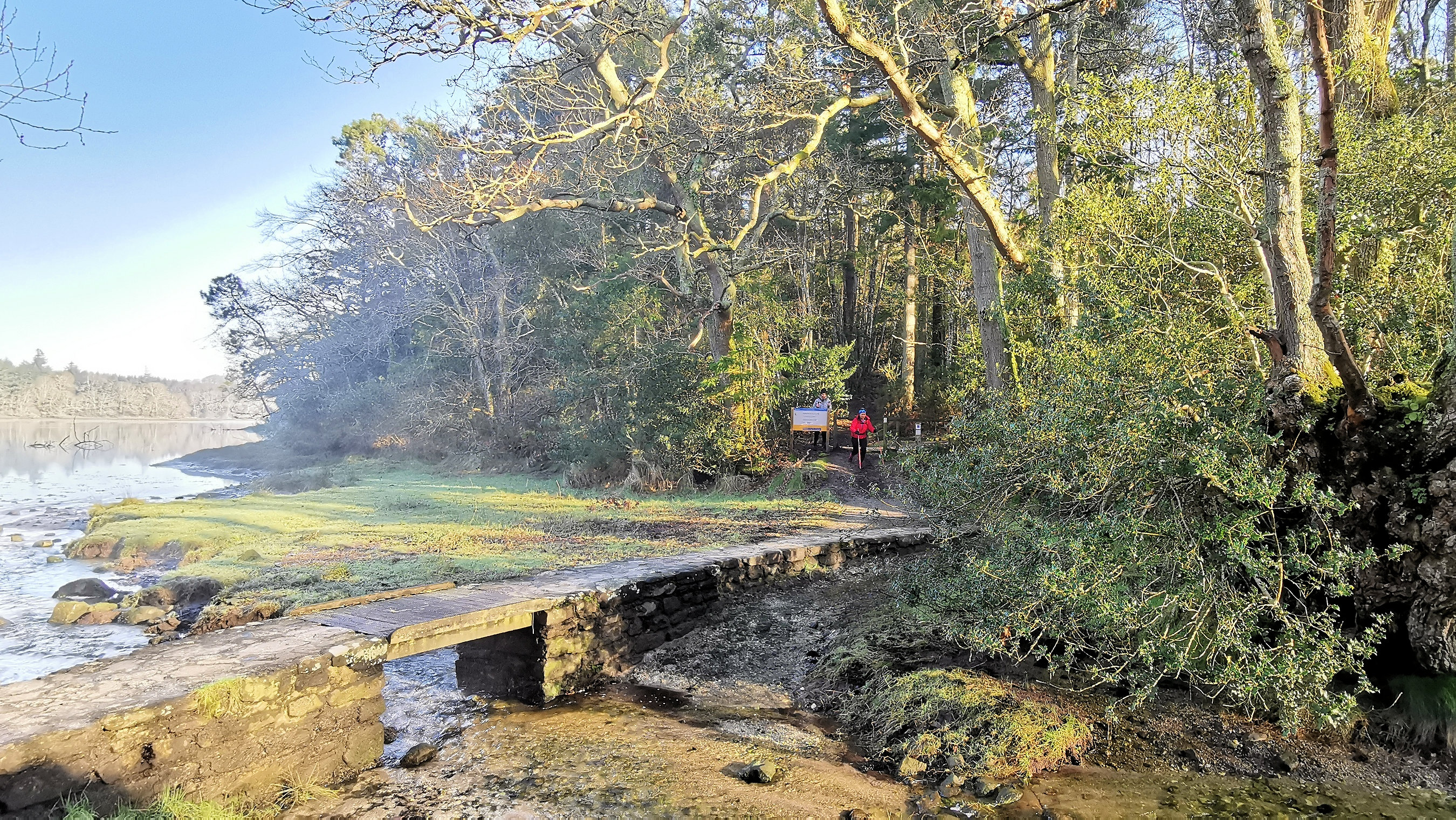 16-IMG_20210206_103009