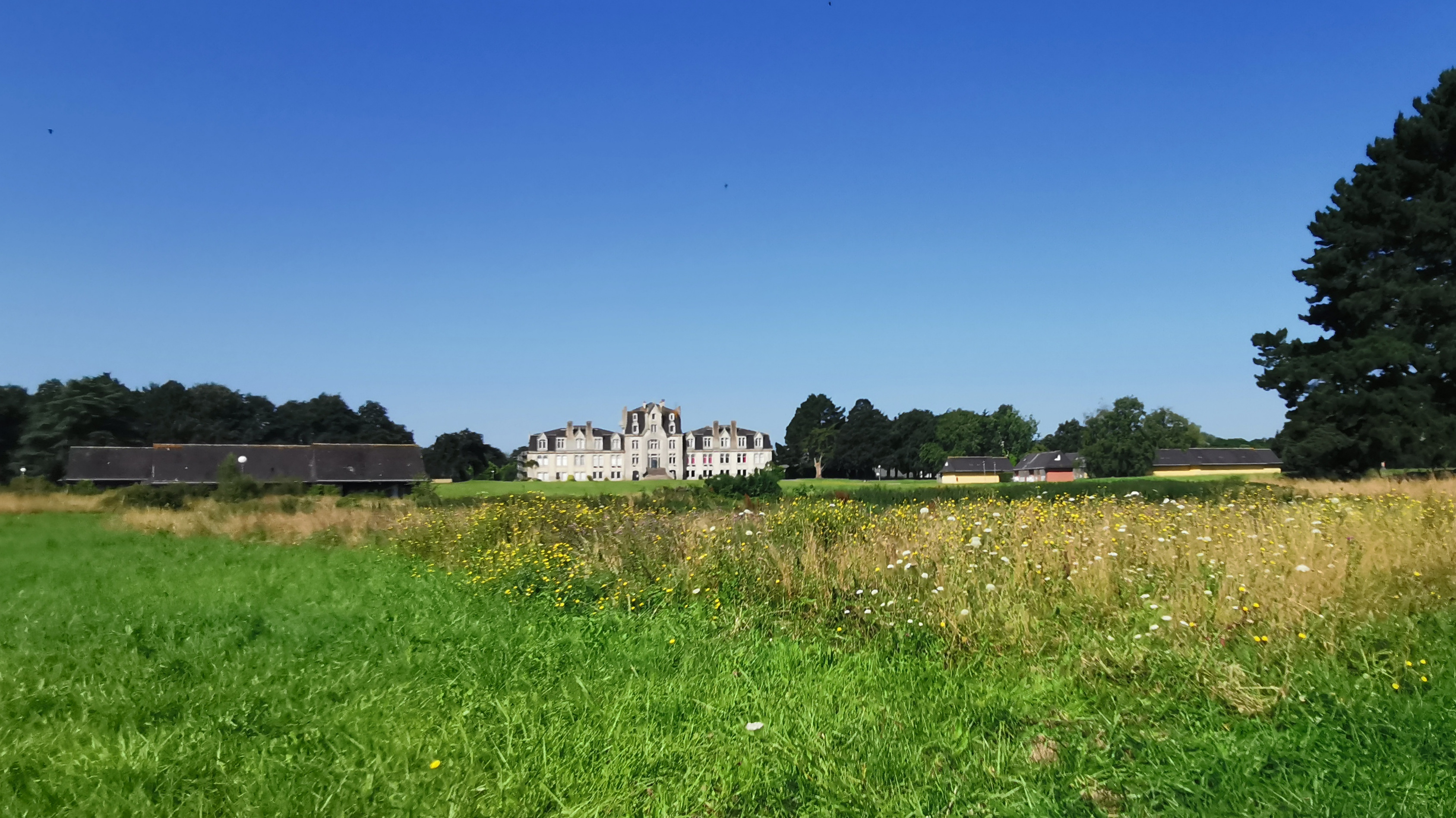 073-IMG_20210718_105857