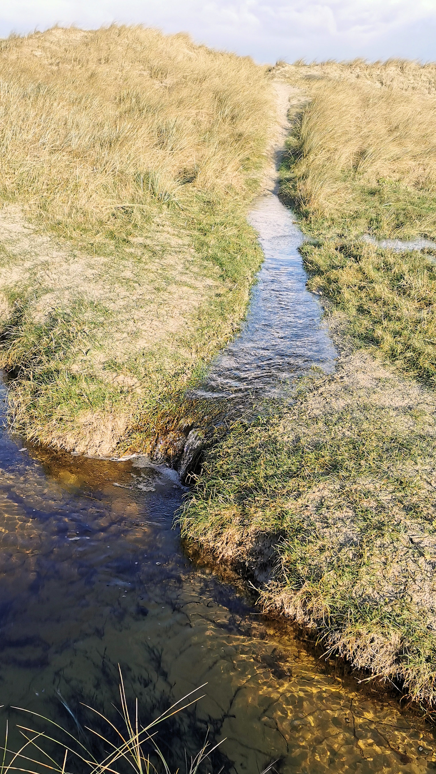 35-IMG_20210124_104322