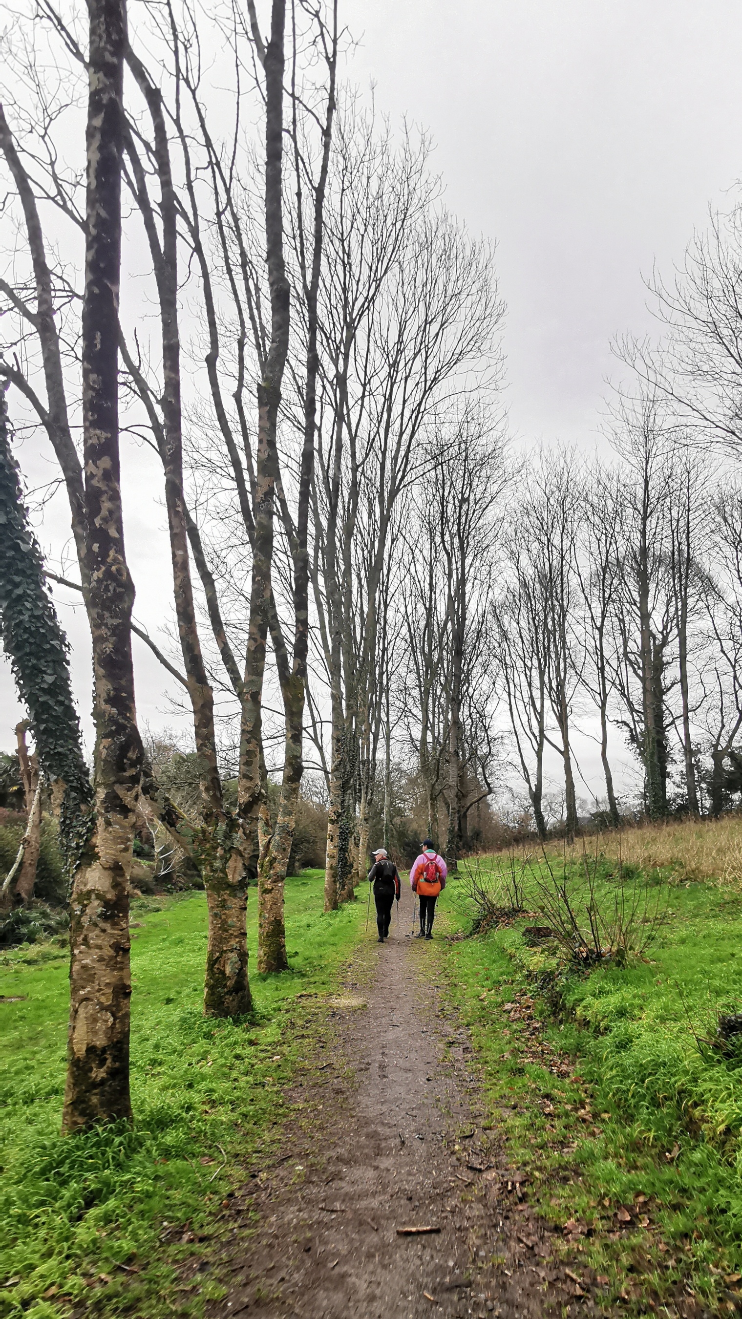 019-IMG_20210220_101430