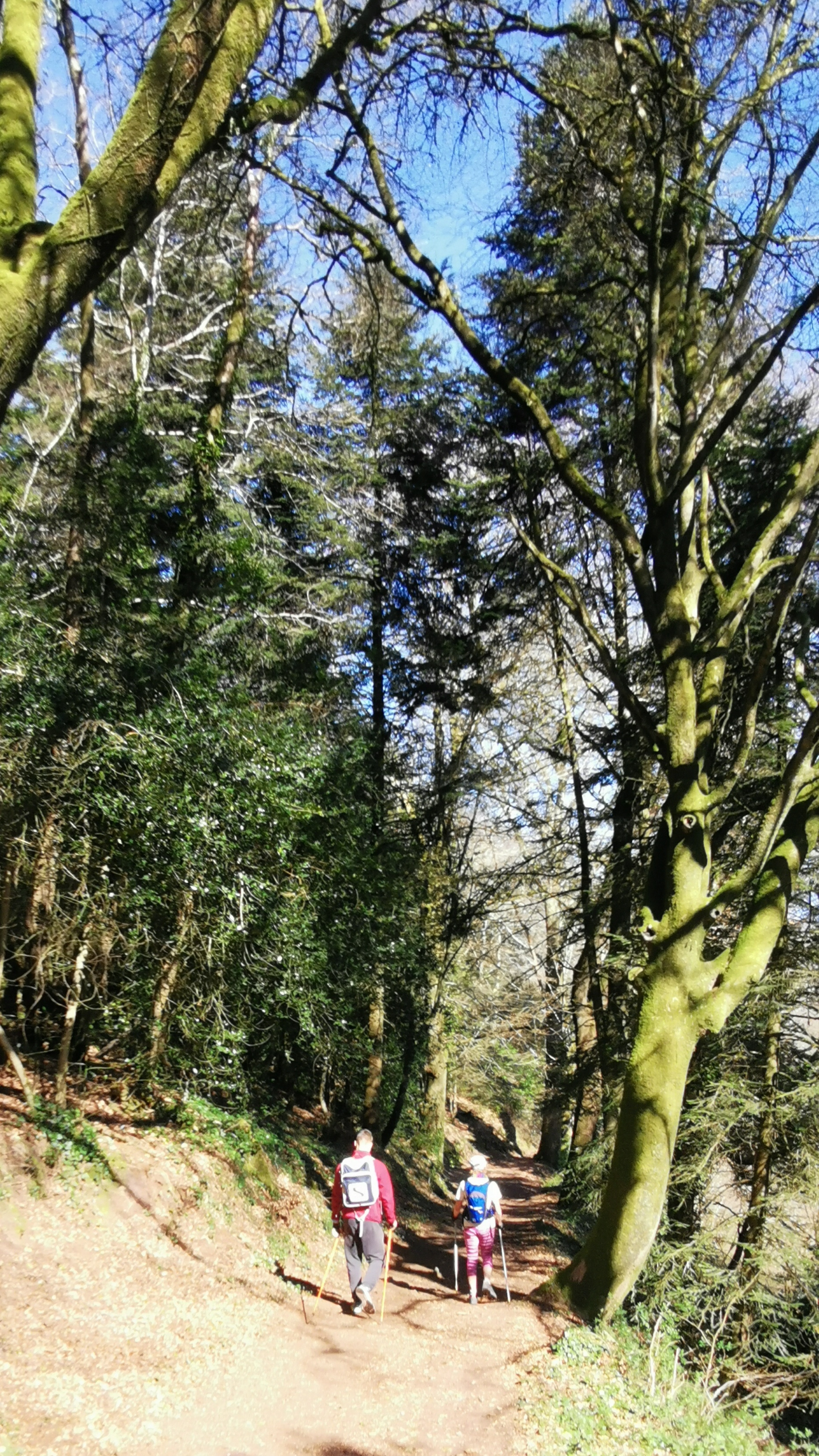 53-IMG_20210320_113930