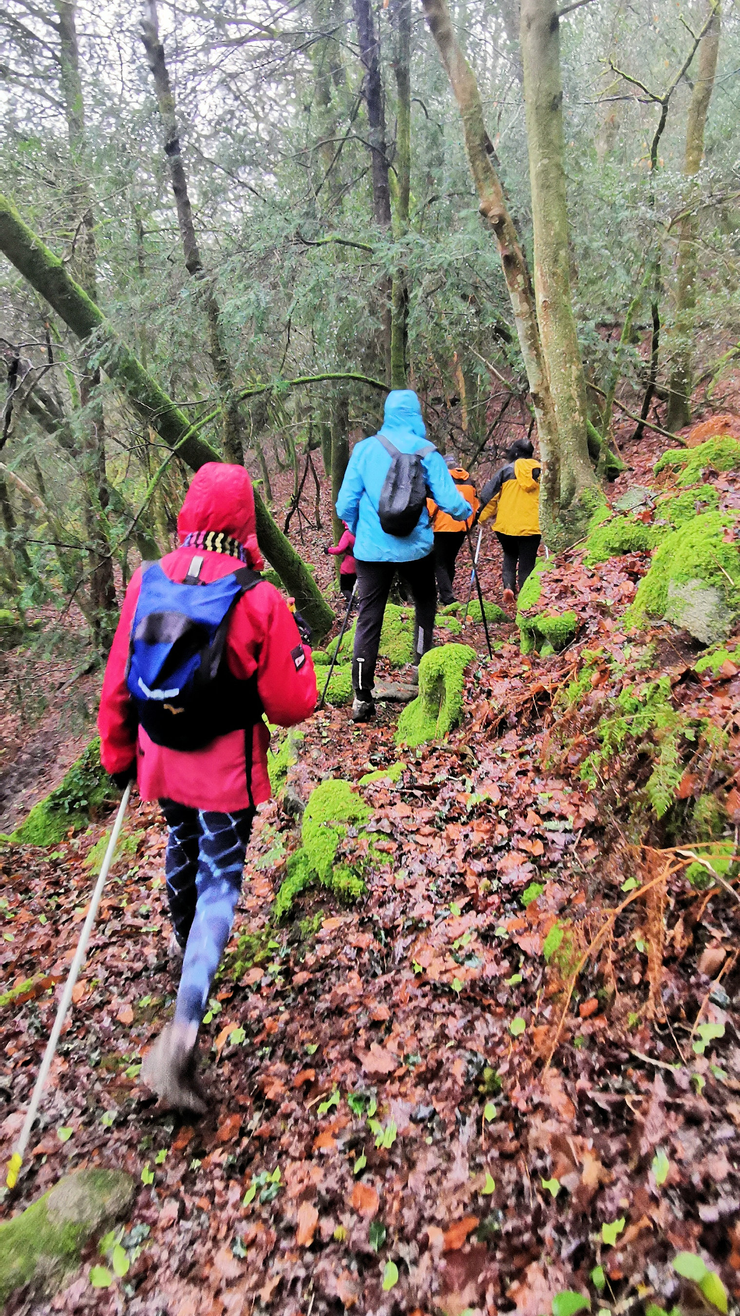 79-IMG_20210121_114059